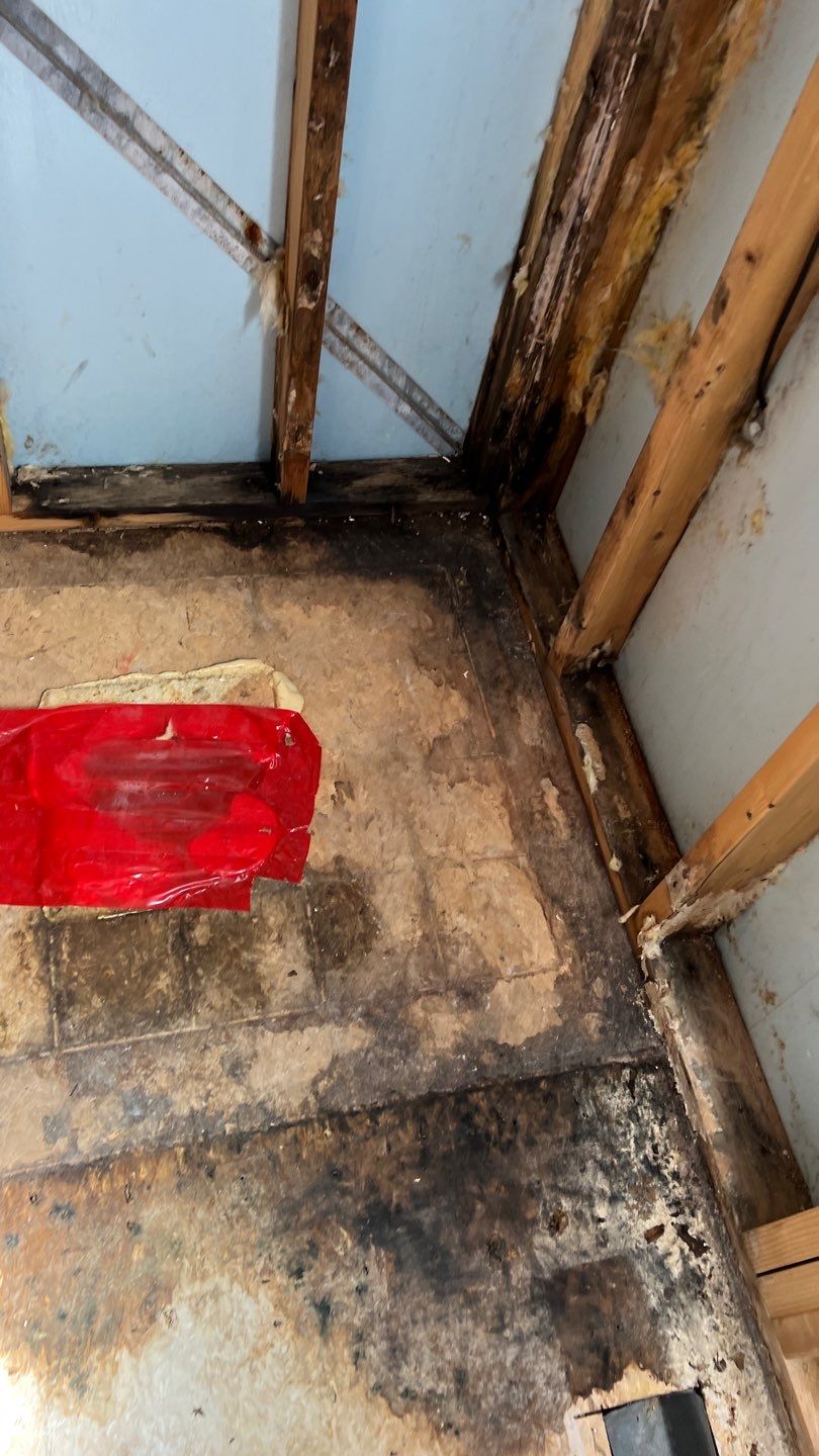 Water Damage and Mold Remediation by Accountable Home Services