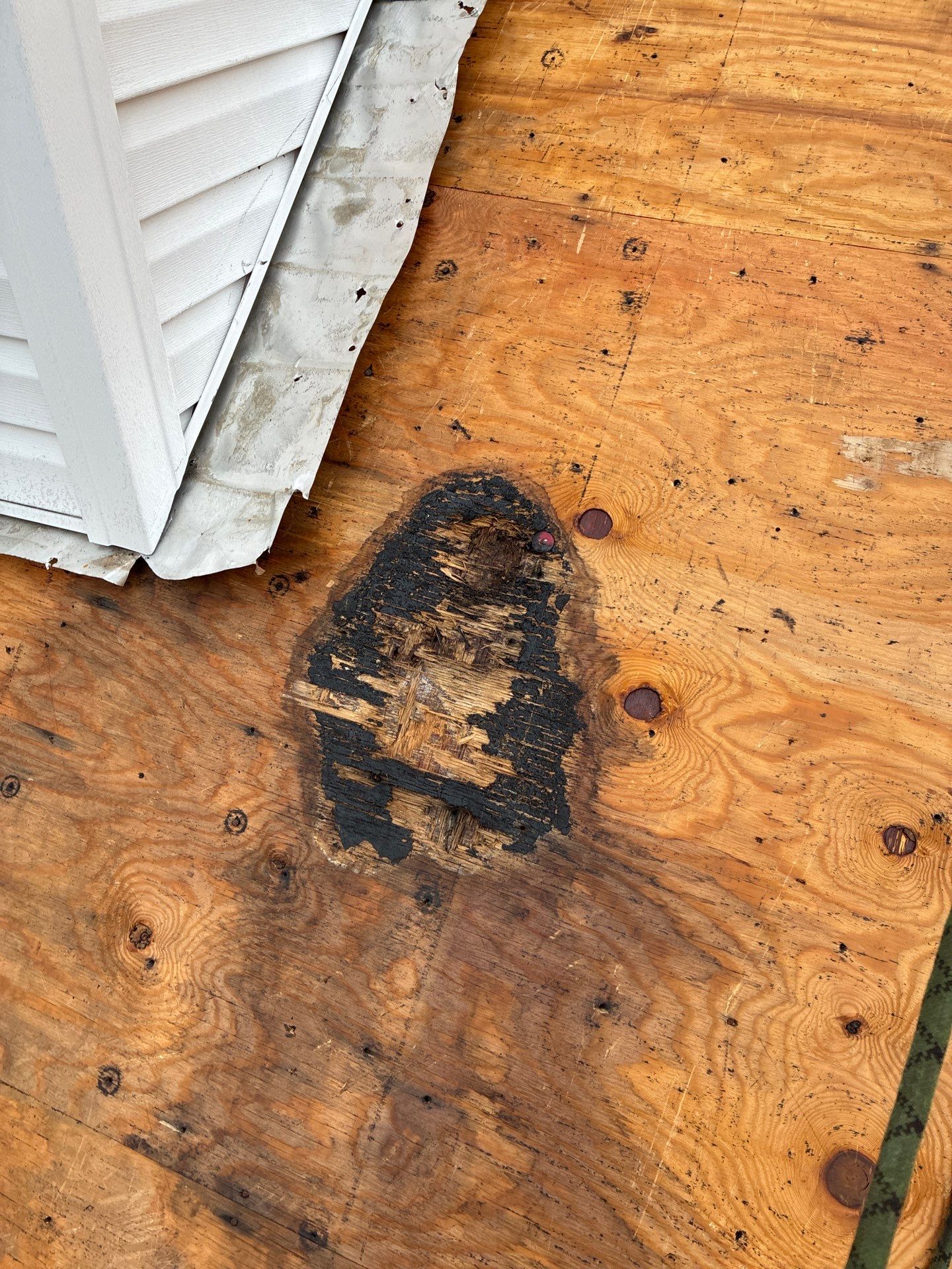 The Wilkins by United Contracting and Roofing