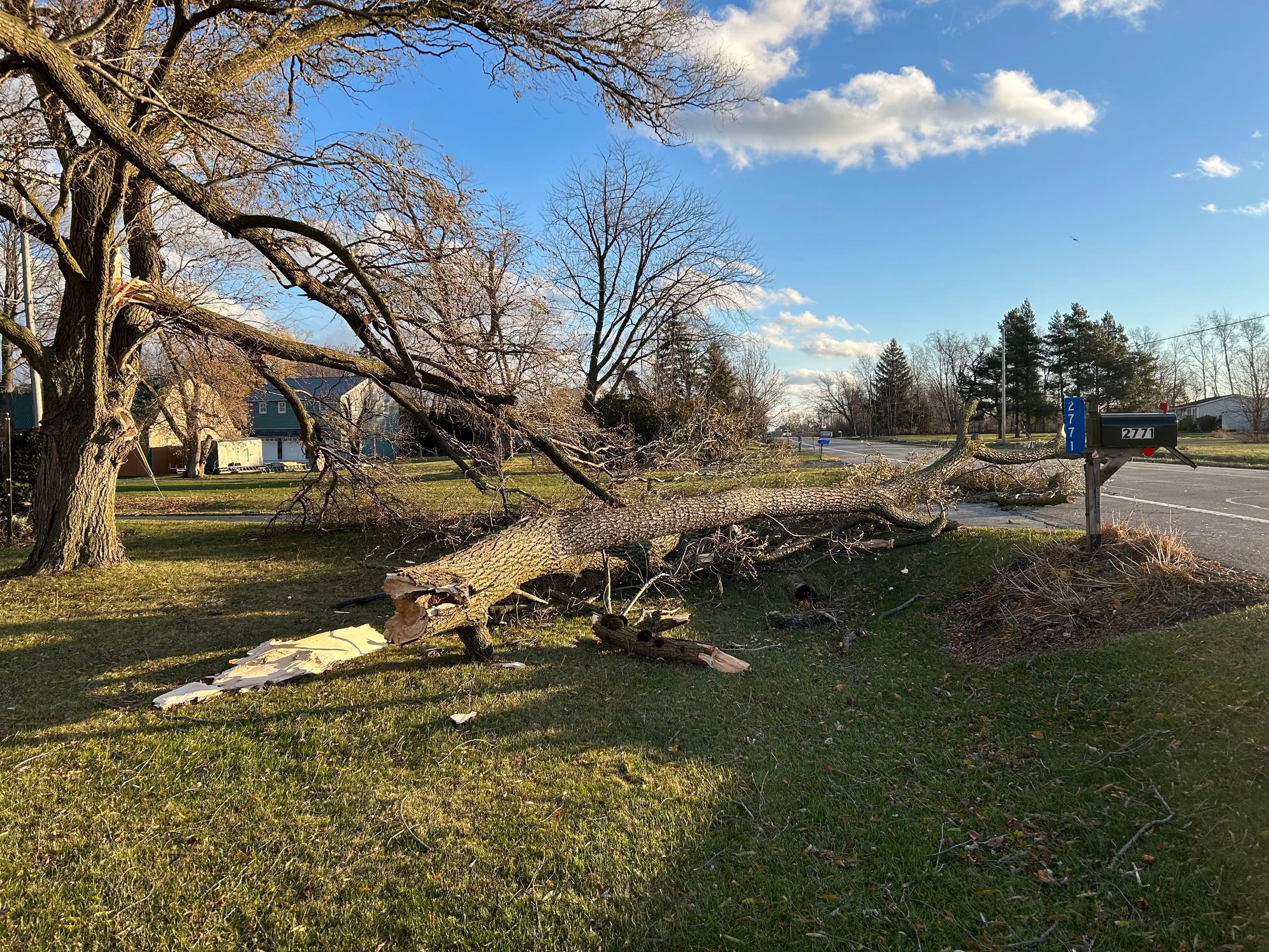 Emergency Job: Clear driveway by Treeman Tom LLC