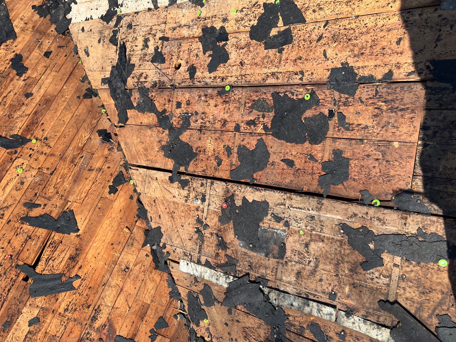 Roof replacement & Decking by In & Out Construction & Remodeling, LLC