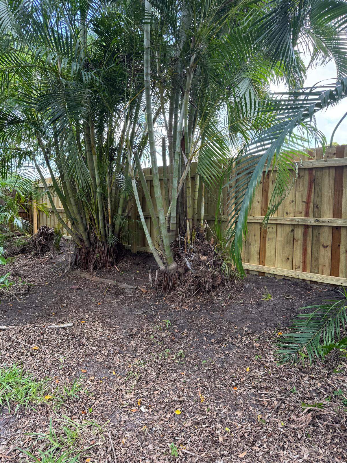 Pressure-Treated Wood Privacy Fence Installation in Sarasota by True Fence LLC