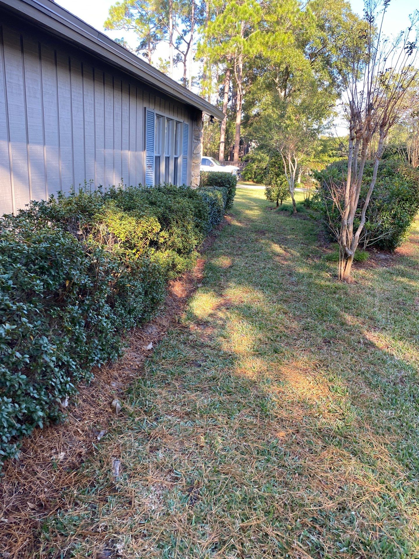 Deerwood Resident | Mulch Freshen Up Project by ProGreen Services