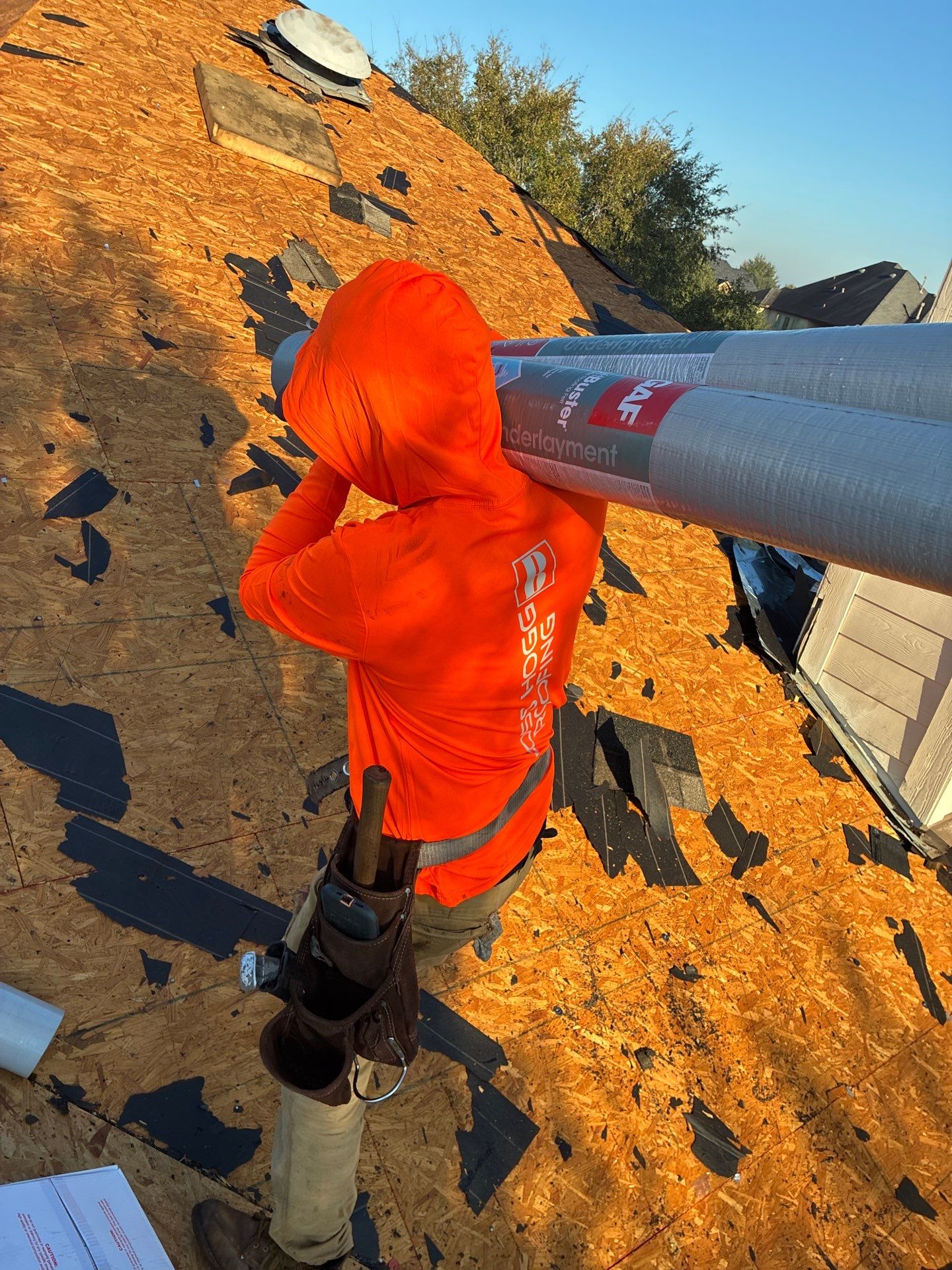 LYNA L by Boss Hogg Roofing