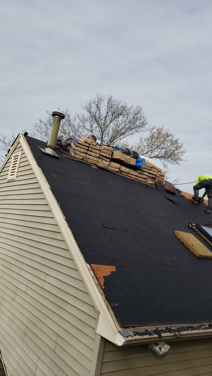 Springfield Certainteed Landmark Pro Designer Shingles by RM Banning, Inc.