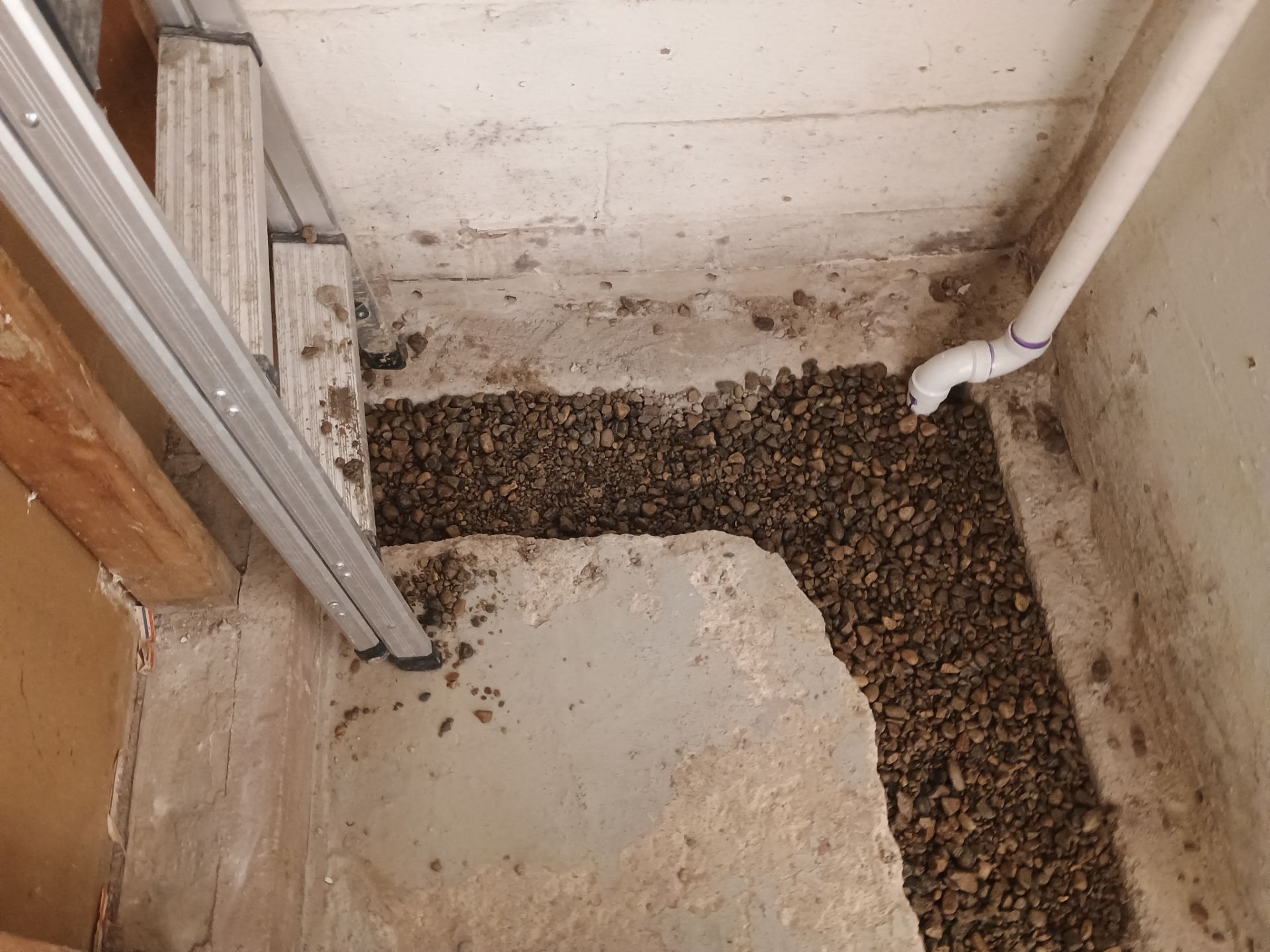 Abigail's New Home by Waterproofing Northeast