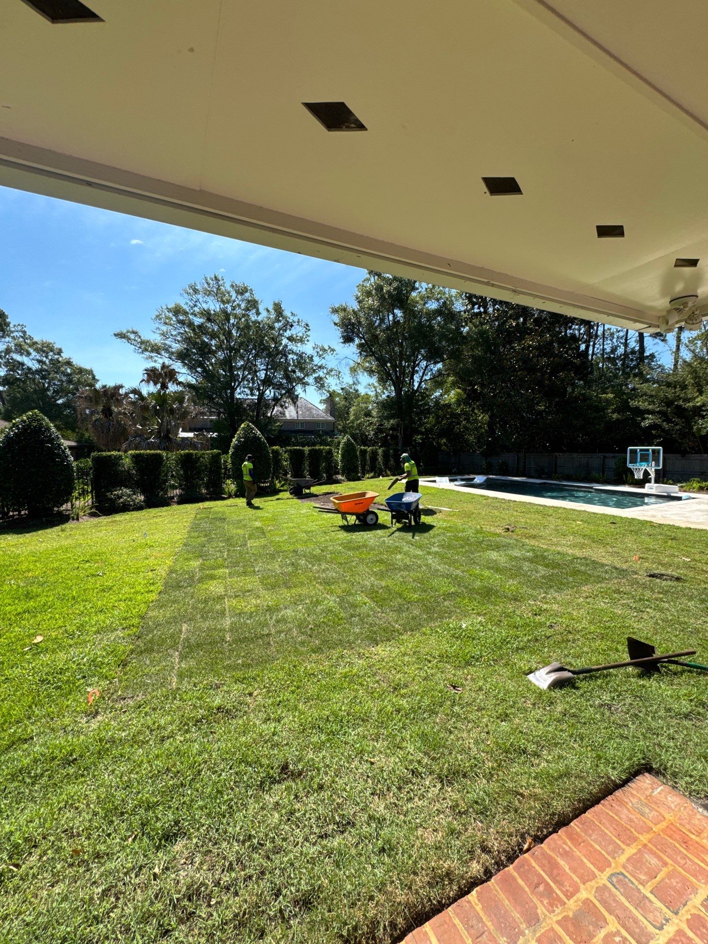 Deerwood Resident | Sod Installation by ProGreen Services
