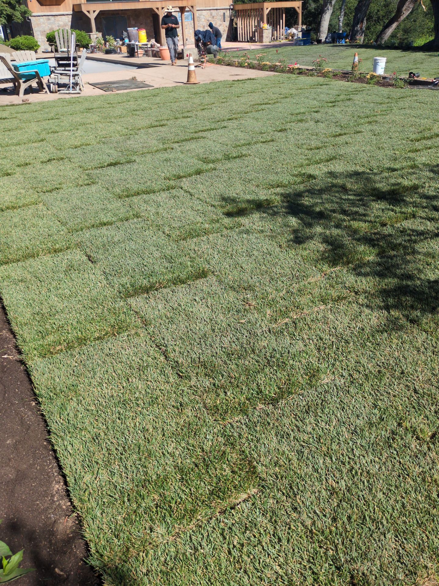 Project in Napa by A - G Sod Farms