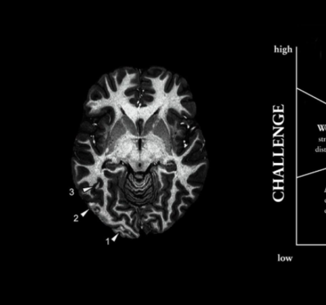 Project in McKinney, TX by NIMBUS GENERAL CONTRACTORS, LLC