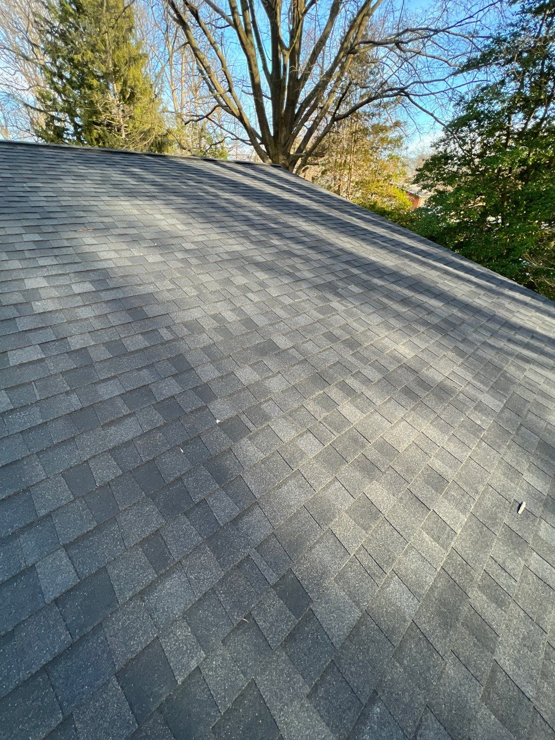 Fairfax: CertainTeed Landmark Pro Designer Shingles in Max Def Charcoal Black by RM Banning, Inc.