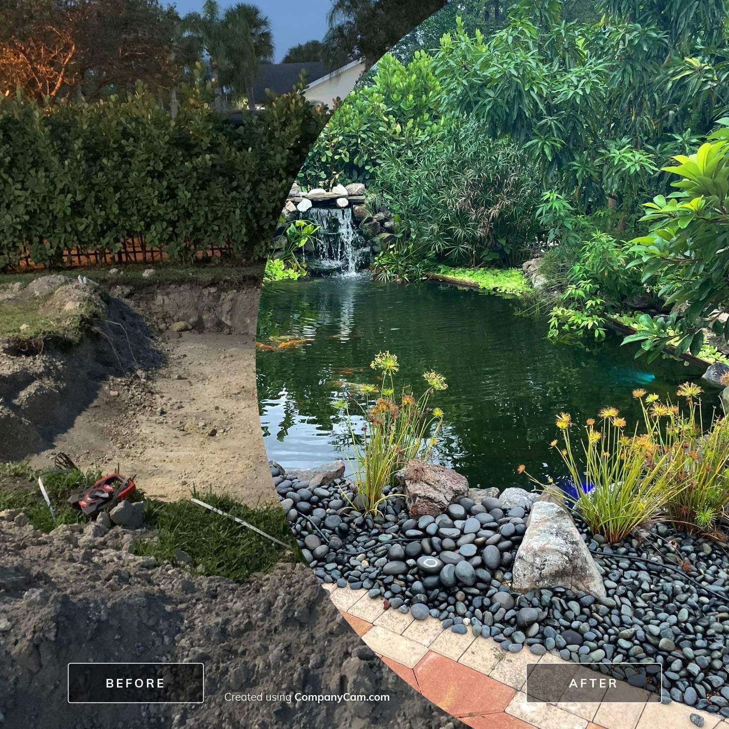Gorgeous Koi Pond in Palmetto Bay by Nature's Dream Landscape and Tree Service