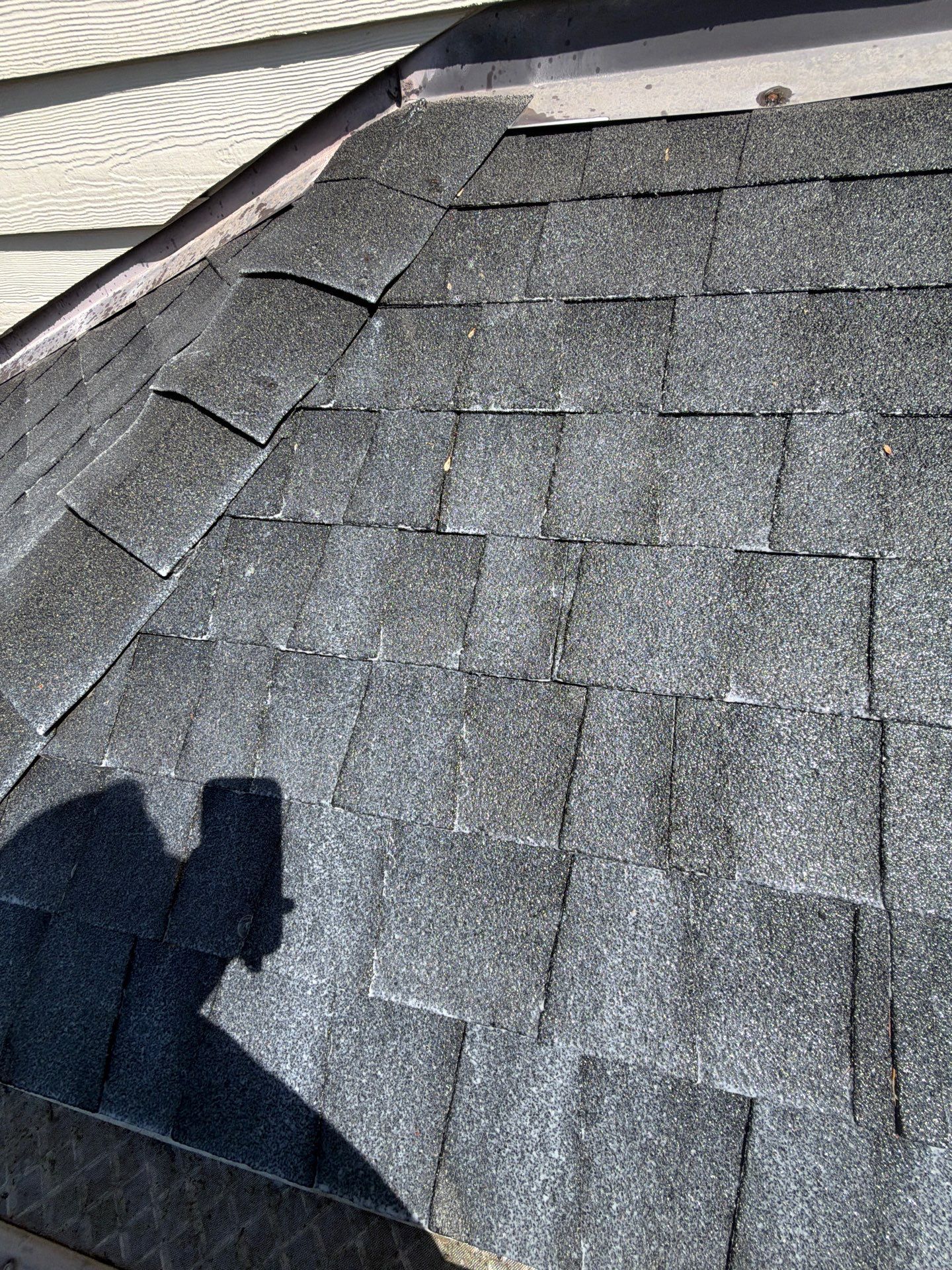 Project in Grants Pass by Roof Maxx of Grants Pass