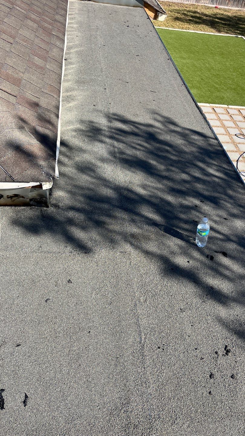 It Ain't Easy getting Shady  by Bayfront Roofing and Construction
