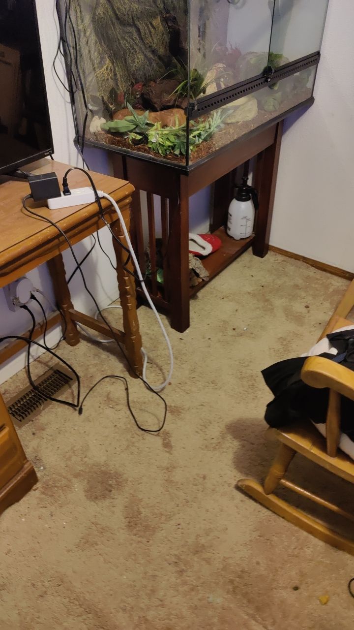 Water Damage  by Accountable Home Services