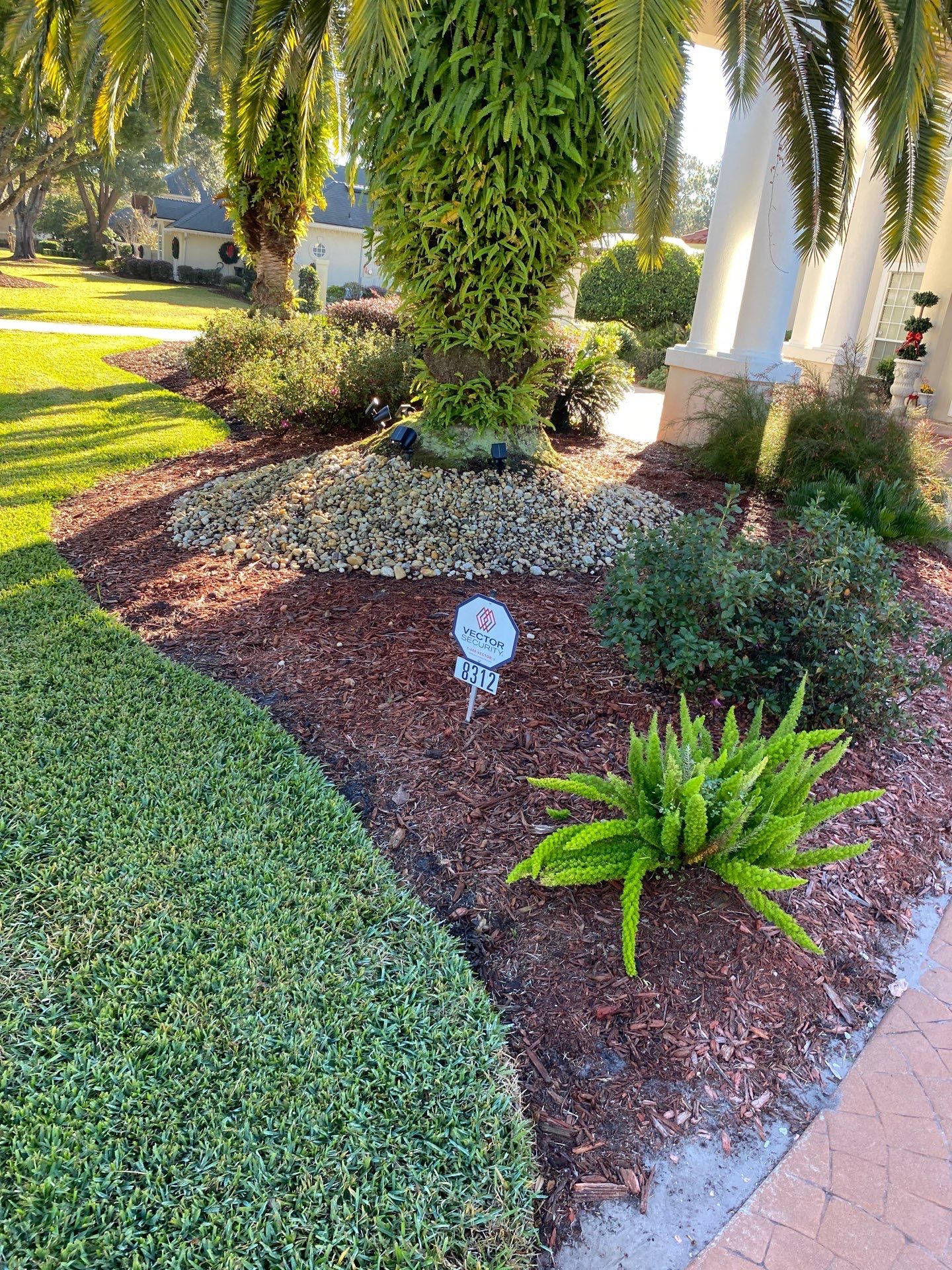 Deerwood Resident | Palm Trimming & Ground Cover by ProGreen Services
