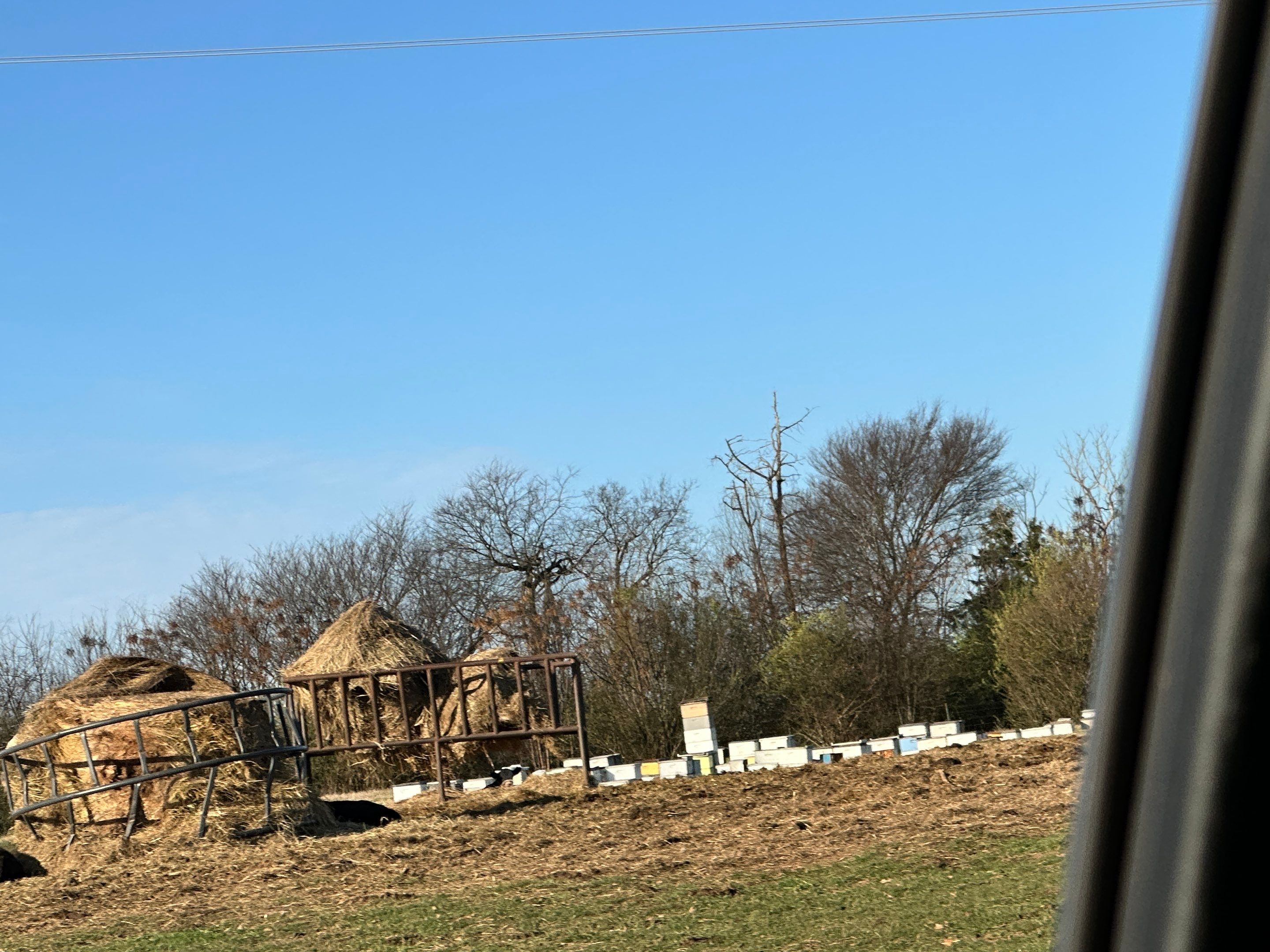 Clubb's Cow Farm Apiary by Rockwall Honey Bee Company