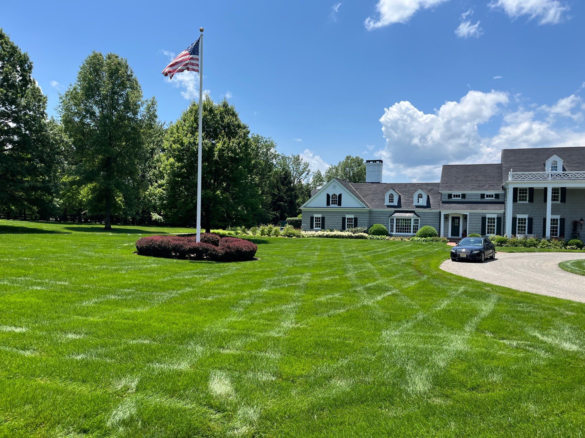 Professional Lawn Care for Far Hills Estate by Ants Plants