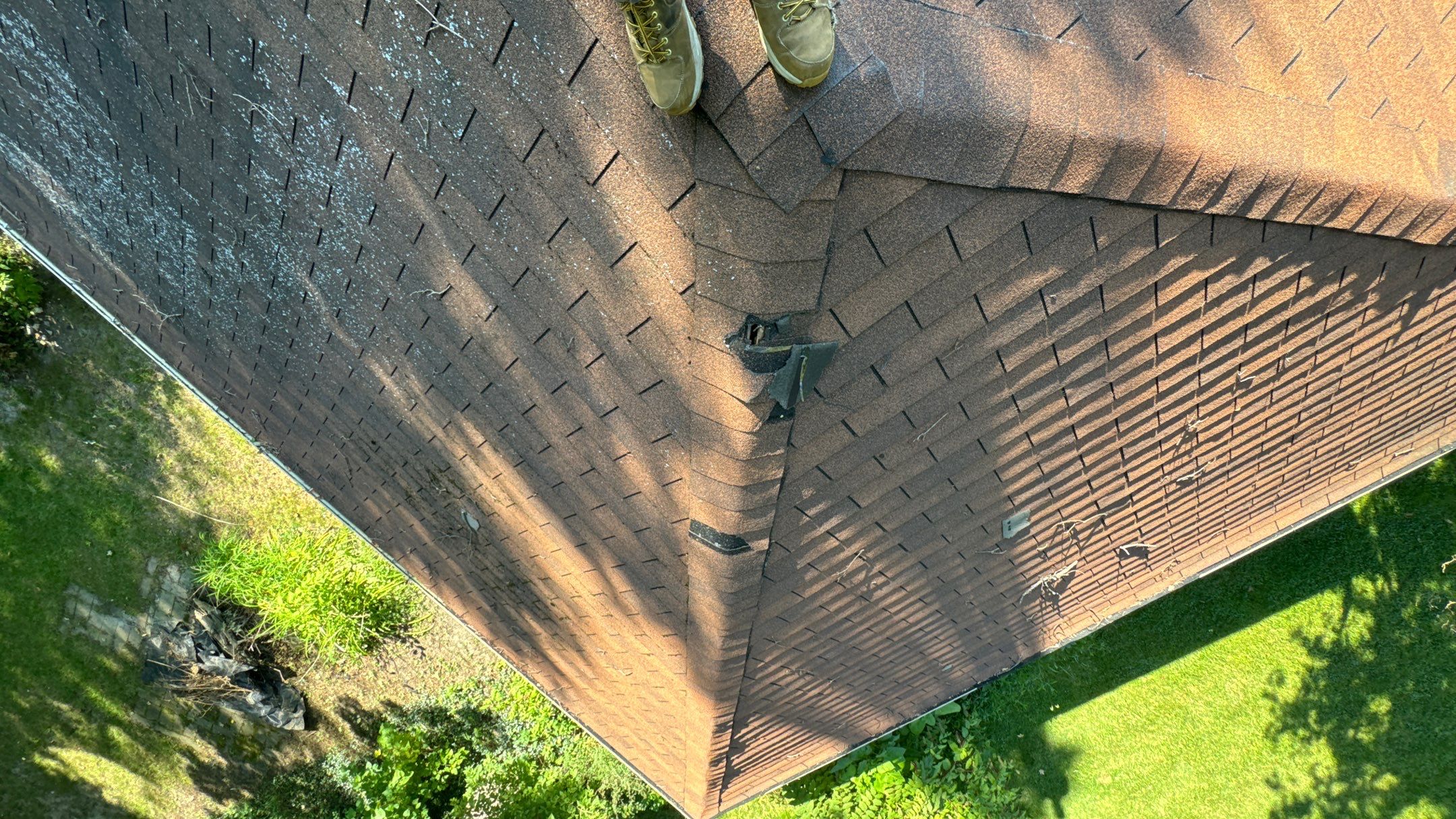 Roof Replacement using Owens Corning Summer Harvest by 180 Contractors
