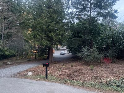 Tree Removal using Tree Removal