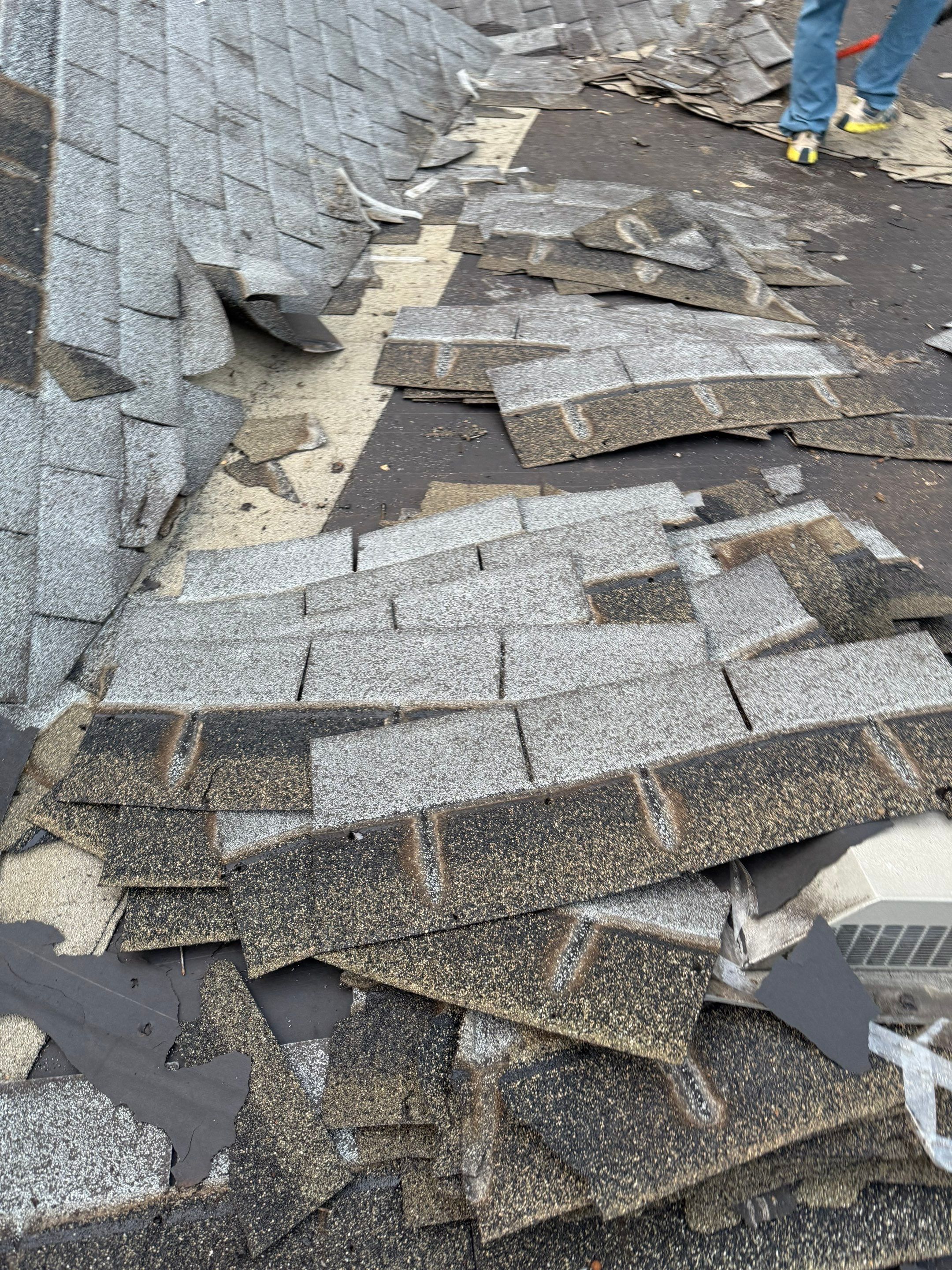 Project in Holland by Serene Construction