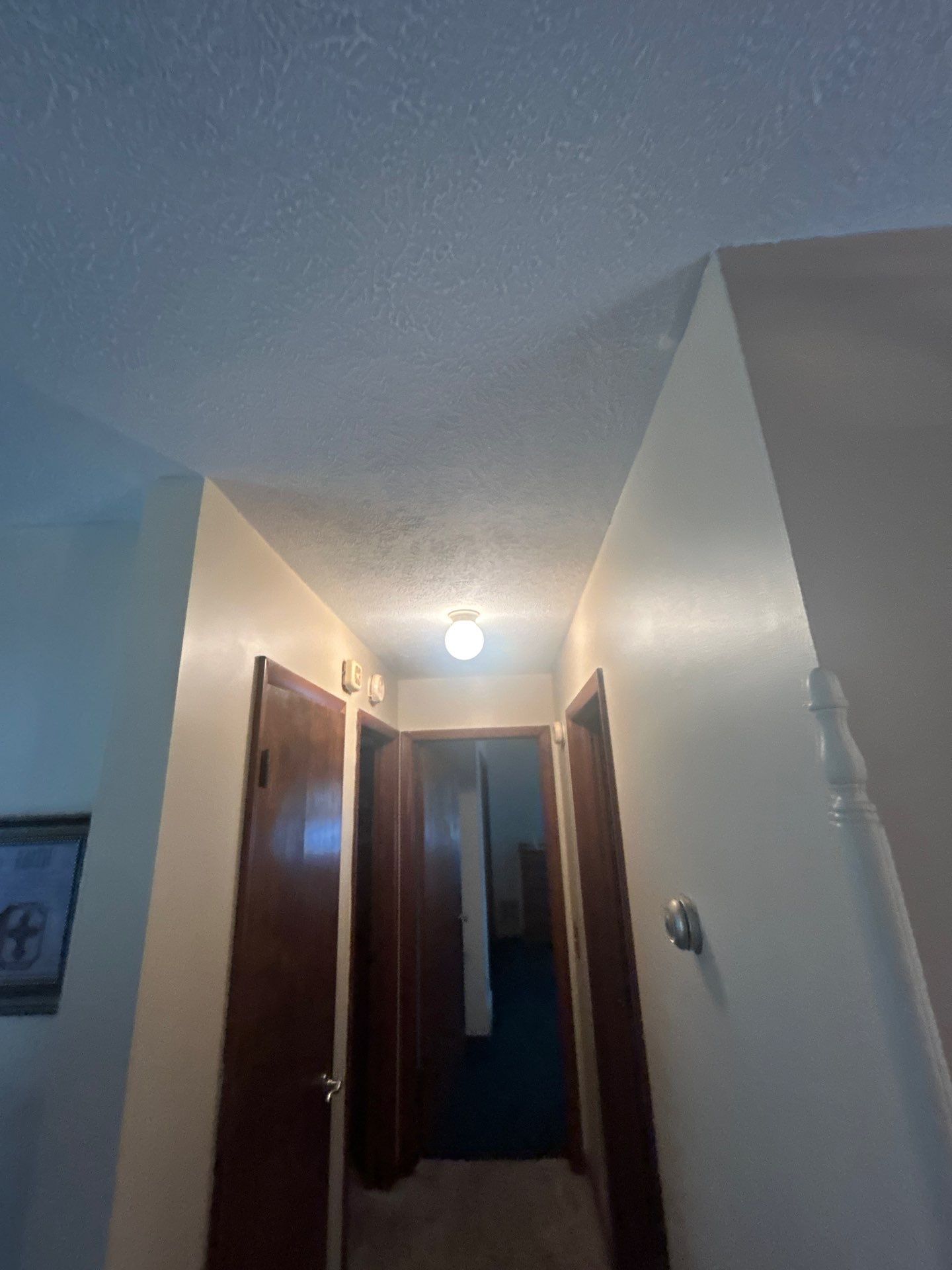 Ceiling repair and repaint by Gordon Painting