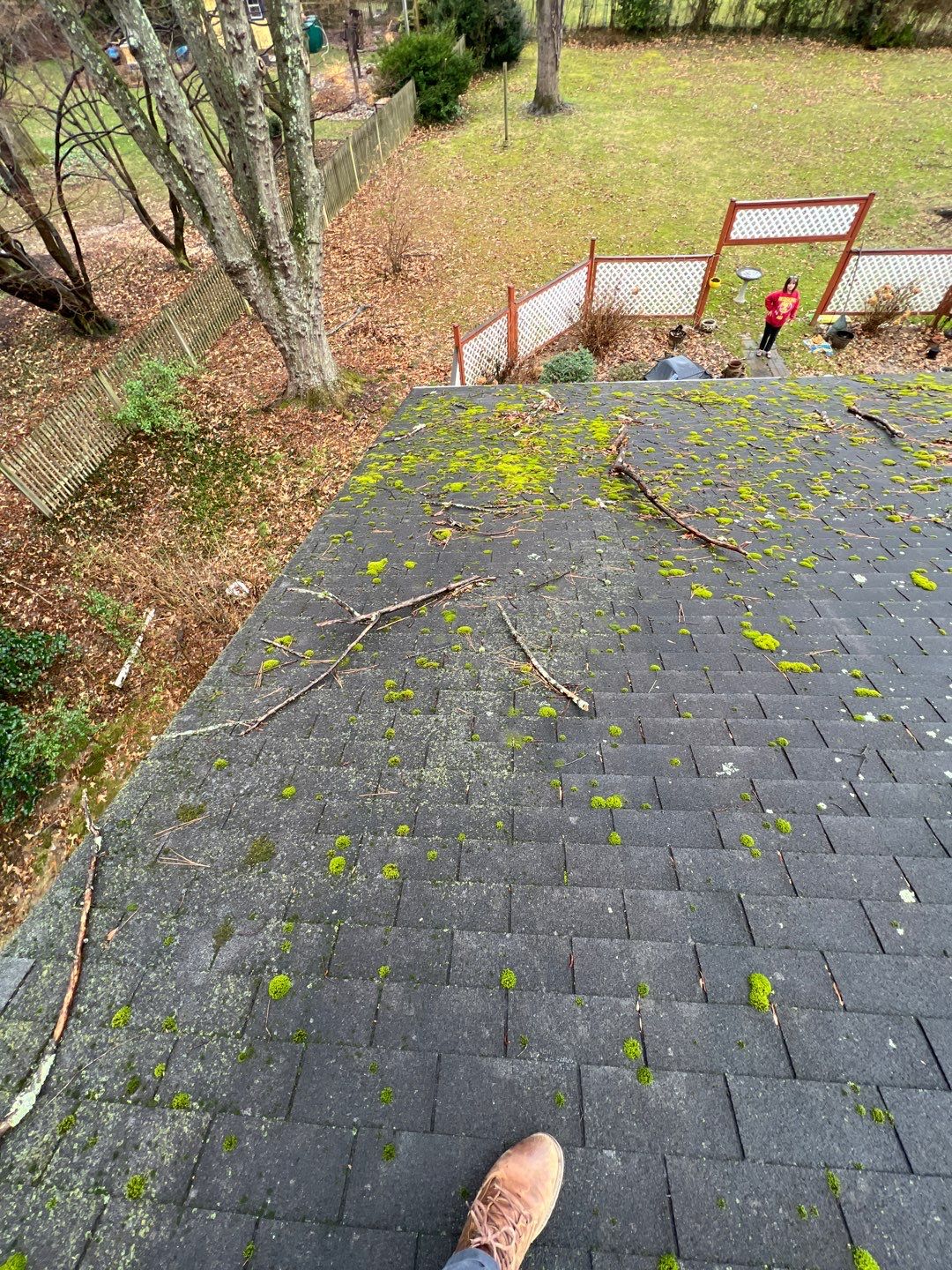 Fairfax: CertainTeed Landmark Pro Designer Shingles in Max Def Charcoal Black by RM Banning, Inc.