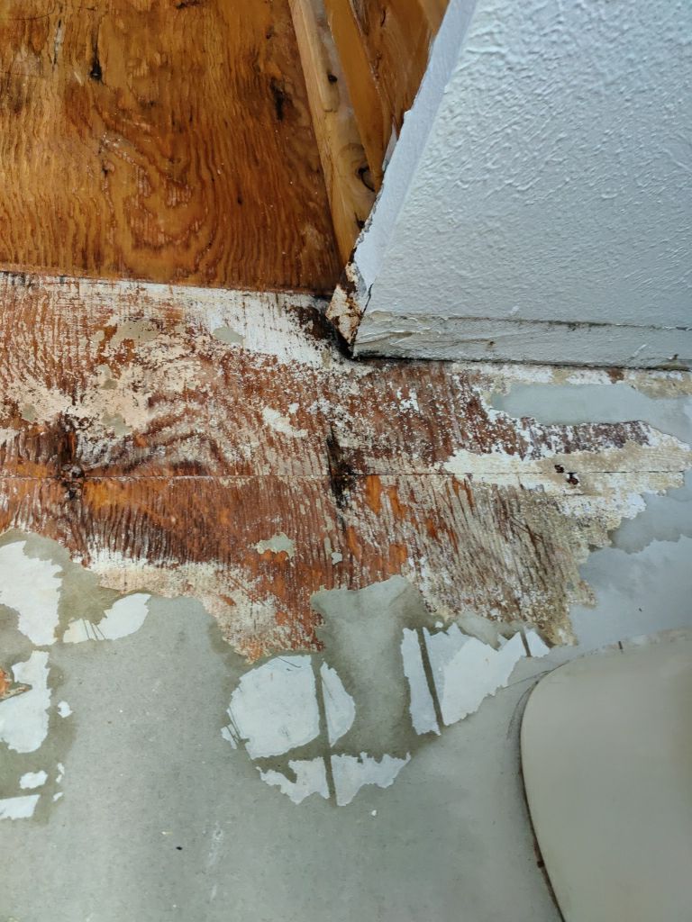Mold Remediation  by Accountable Home Services