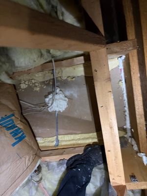 Project in Spencer