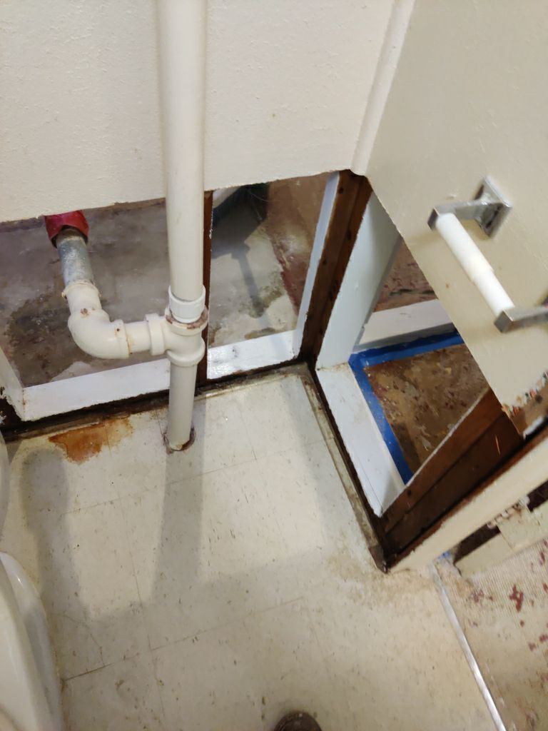 Mold Remediation in Basement by Accountable Home Services