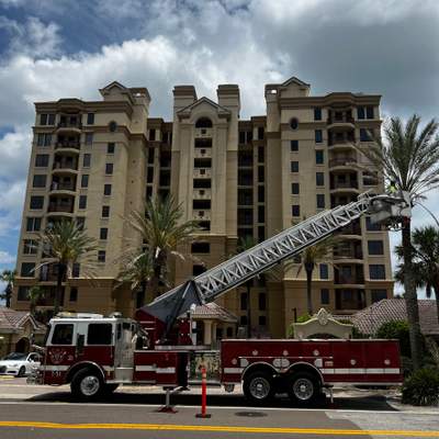Palm Trimming | Landmark Condominiums