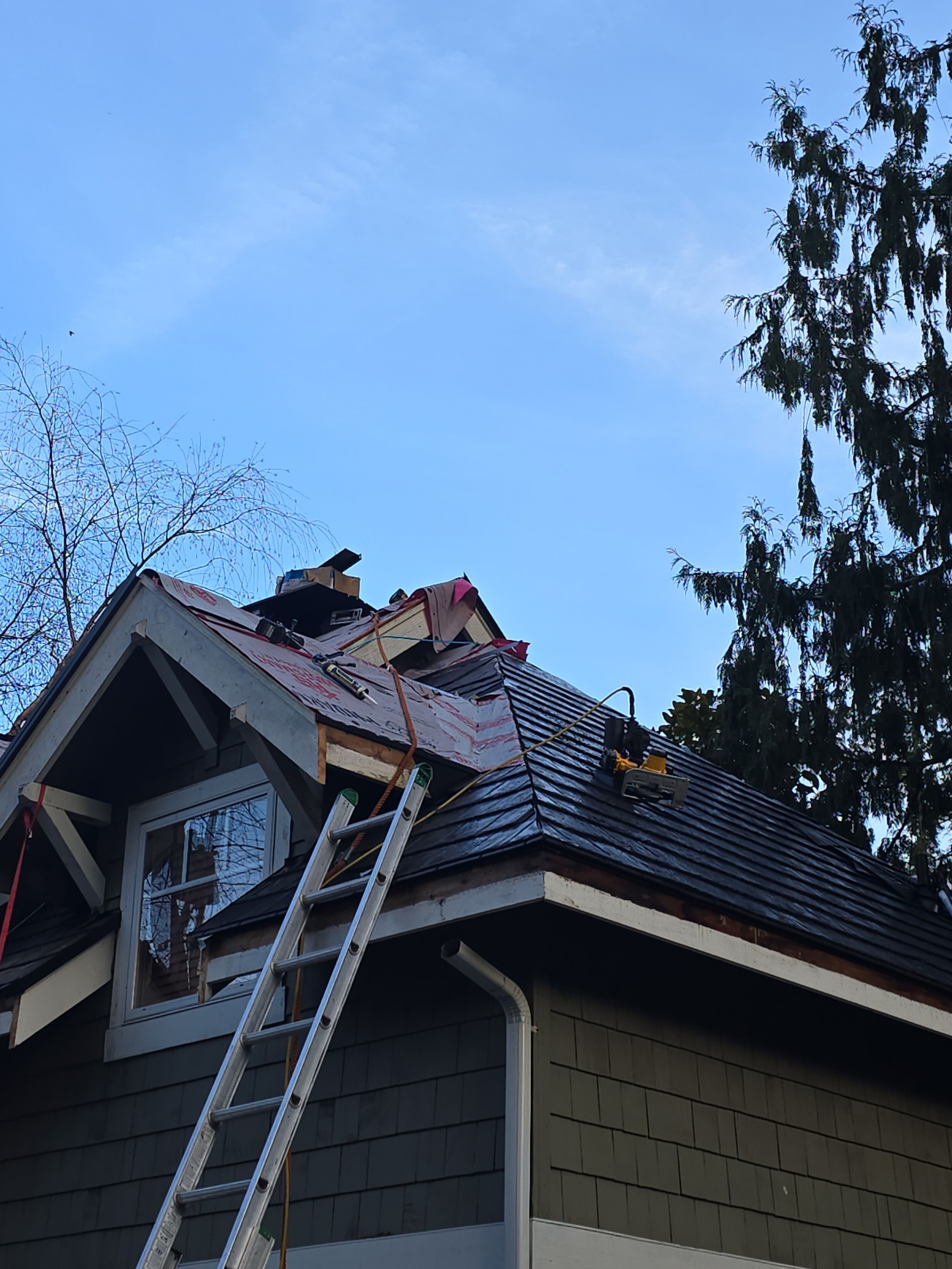 EuroShield in Sammamish by RoofSmart