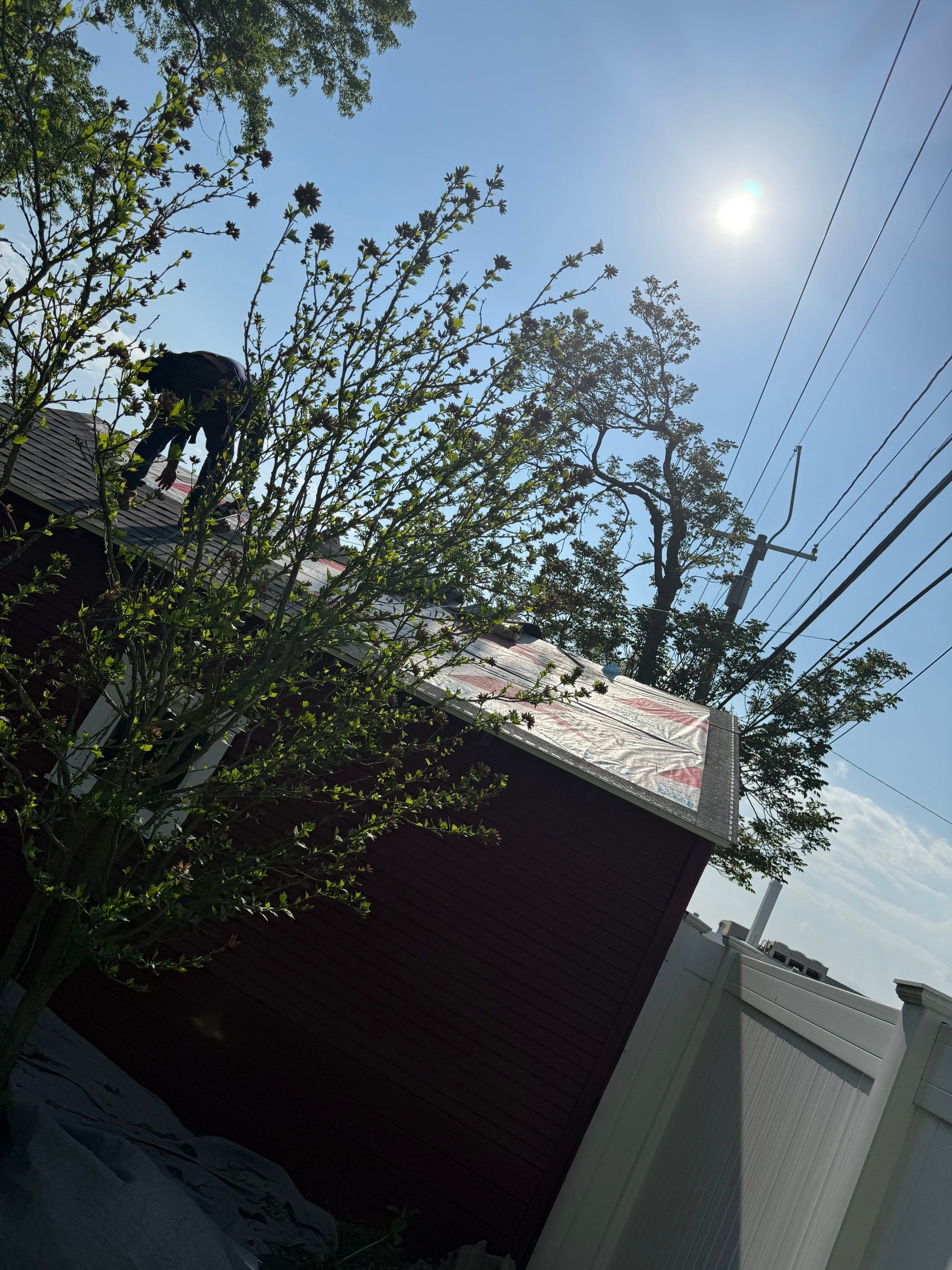 Project in Ferndale by Eave Roofing