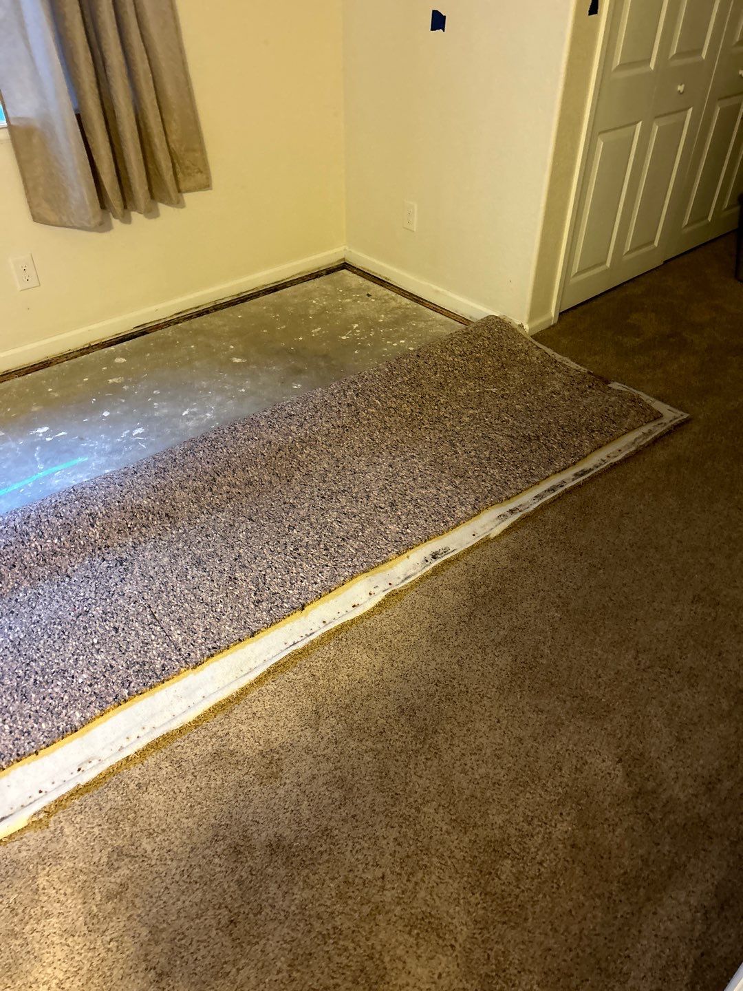 Mold Damage Project in Thornton by Accountable Home Services