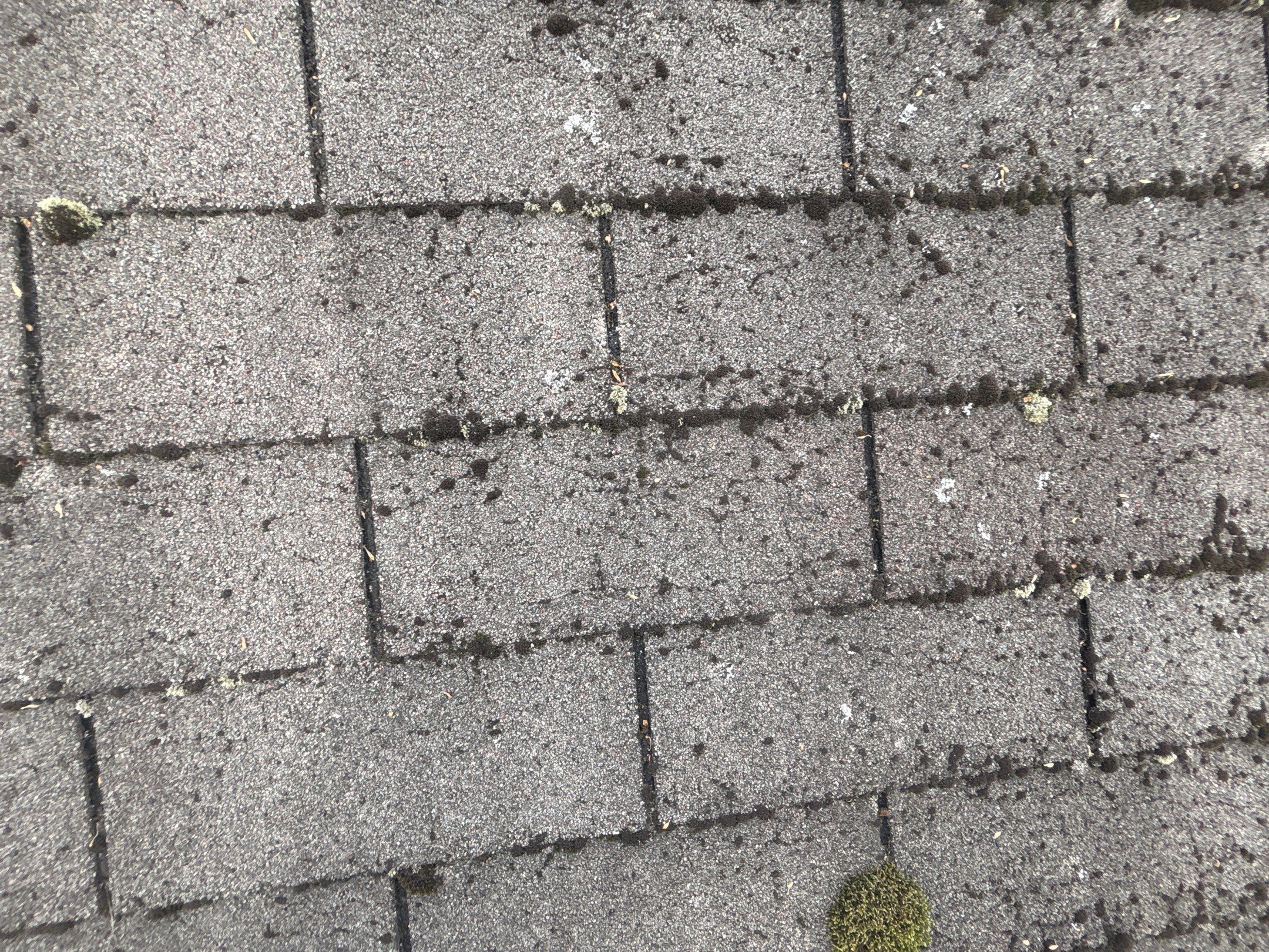 Roof Replacement using Owens Corning Teak by 180 Contractors