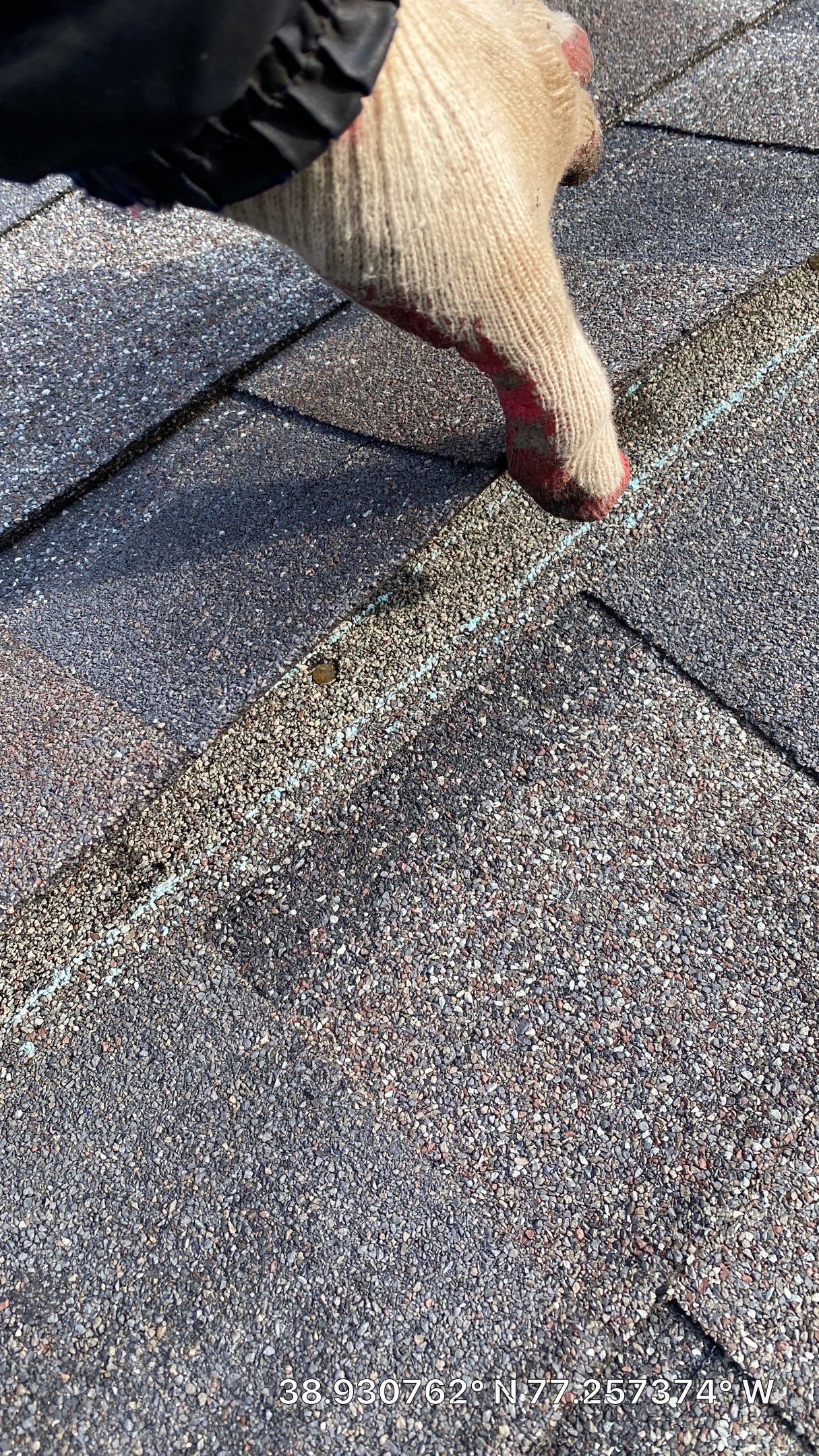 Vienna: Certainteed Landmark Pro Designer Shingles in Max Def Driftwood by RM Banning, Inc.