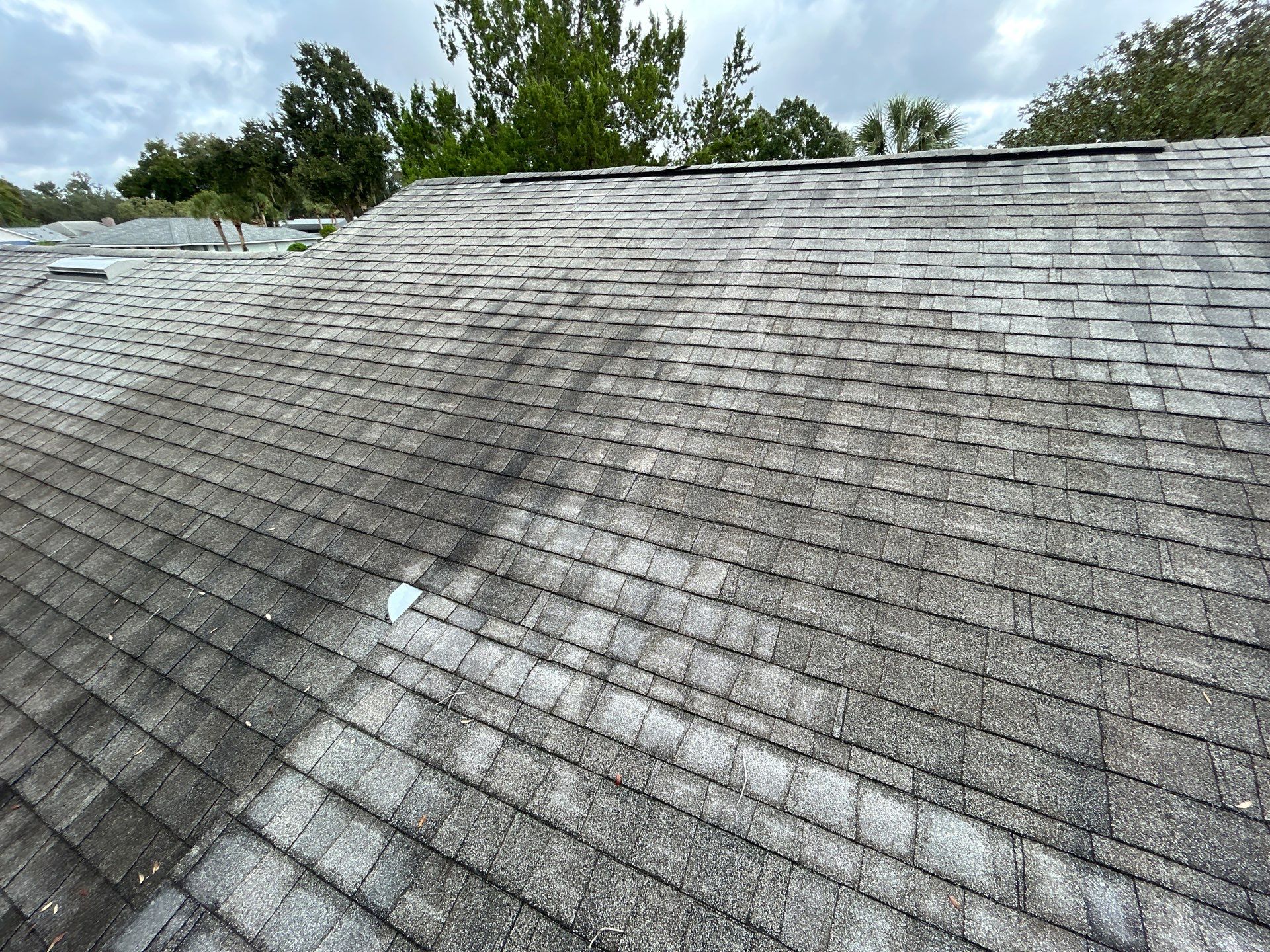 Project in Longwood by Redfish Roofing