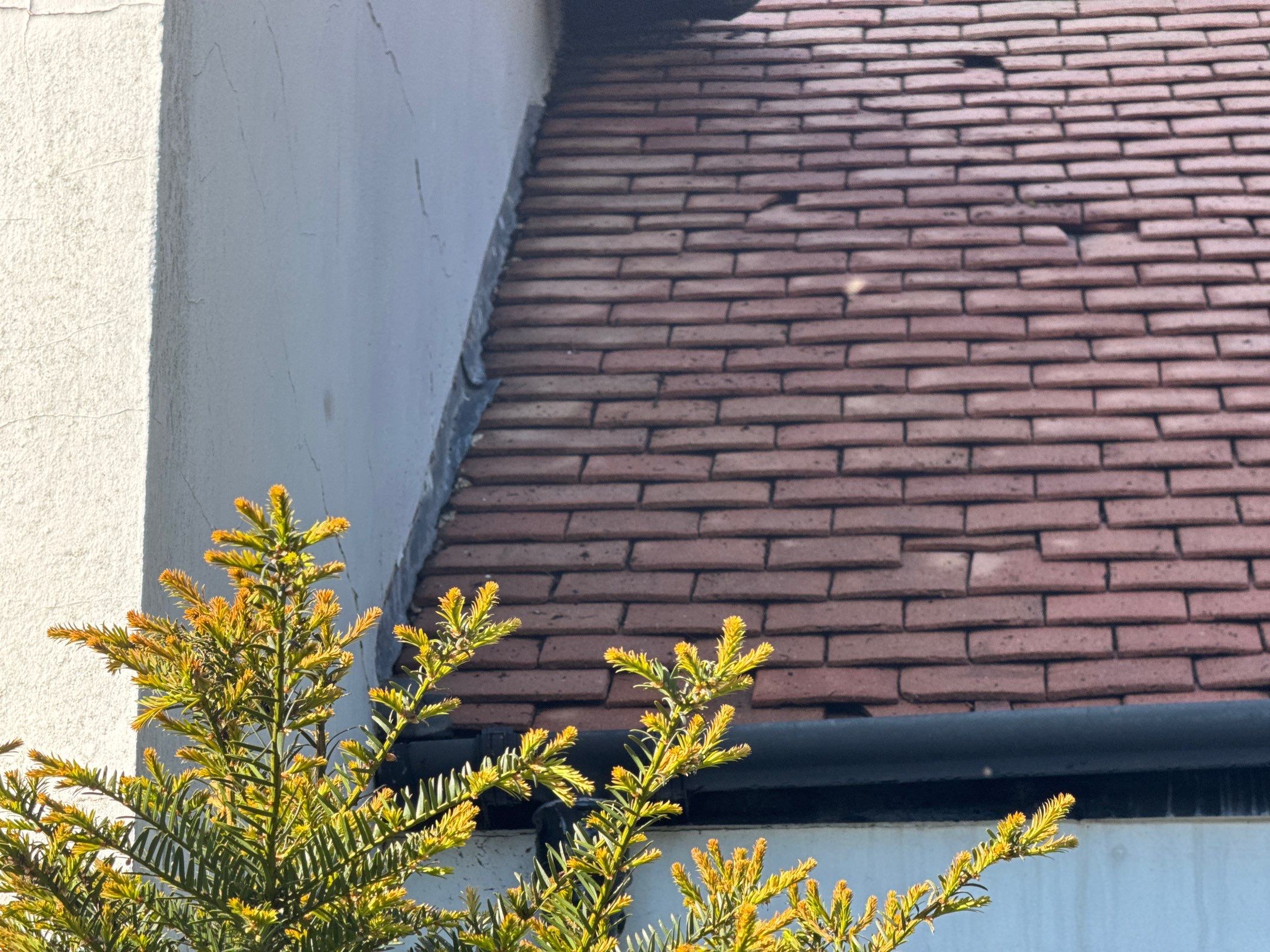 Roof Clean  - Moss Removal - Gutter Clean using Honda 15lpm Low Pressure Washing Machine by Ges Exterior Cleaning ltd
