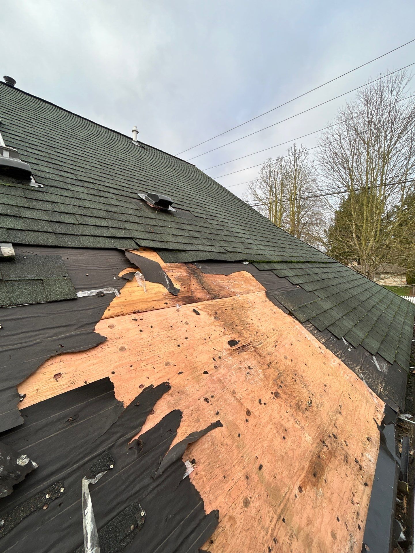 Project in Snohomish by Peaks and Valleys Construction