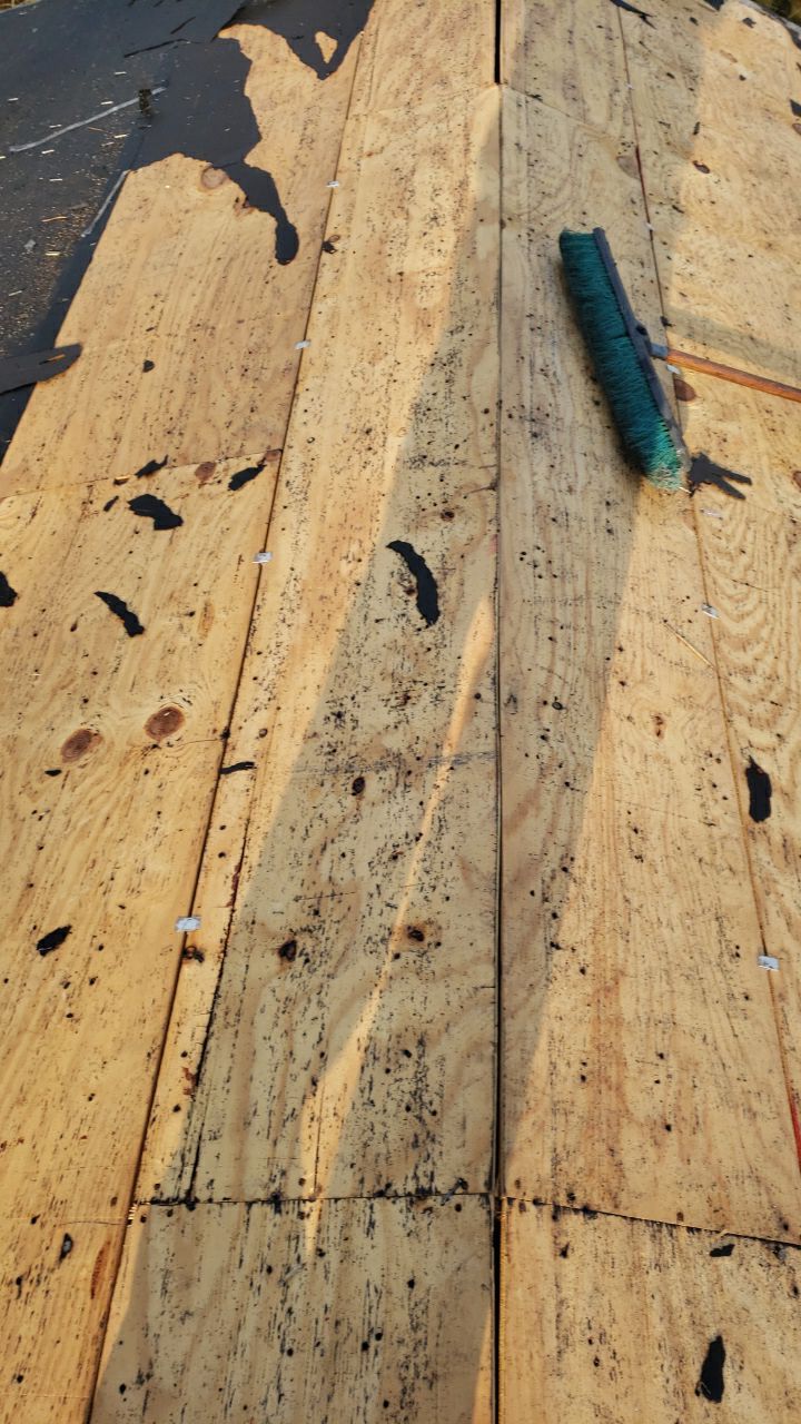 Manassas: CertainTeed Landmark Designer Shingles in Charcoal Black by RM Banning, Inc.