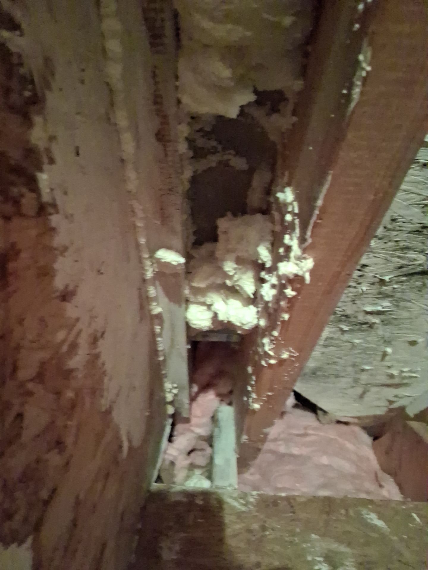 Attic Insulation and Repair by Toledo Basement Repair