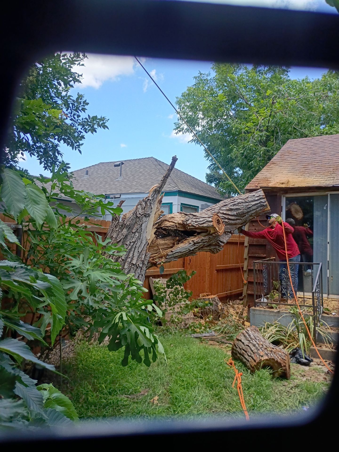 Dangerous Tree Tree Removal  by Clays Services Inc