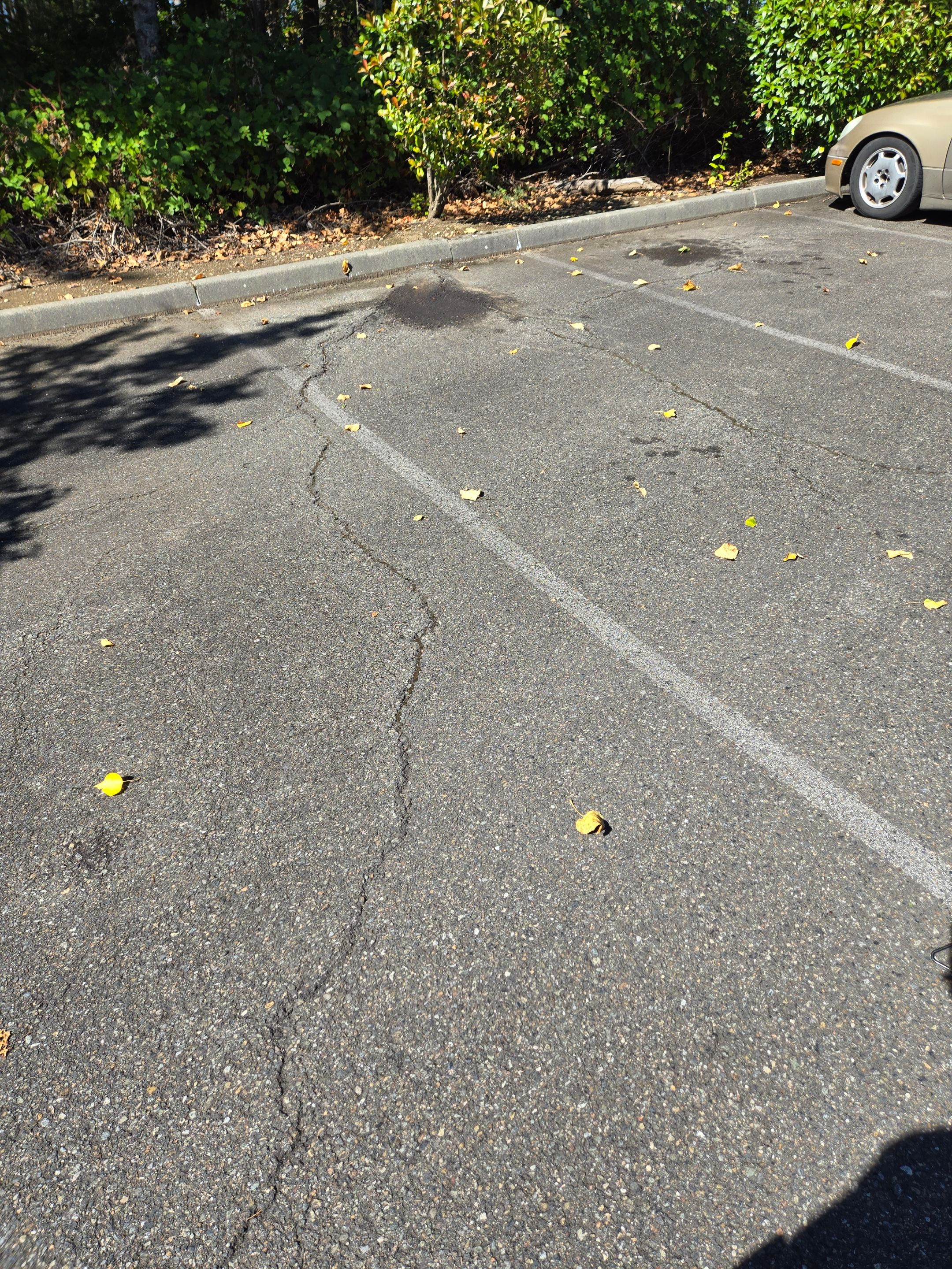 King Machine Business Parking Lot Sealcoat Overlay | Mukilteo by Jireh Asphalt & Concrete Inc 