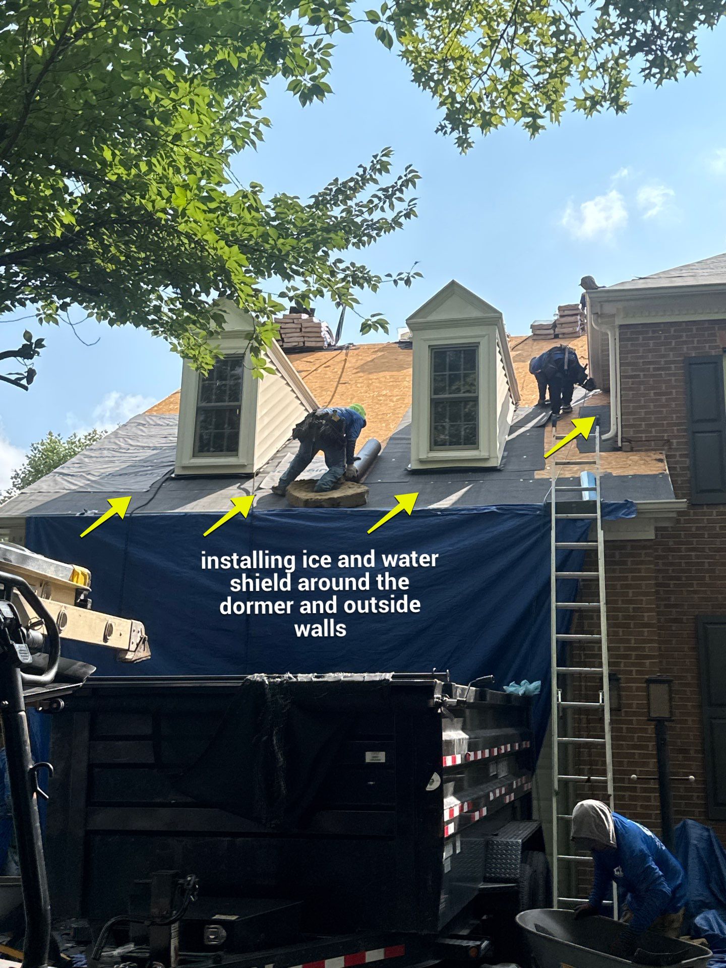 New Shingle Roof & New Gutters and downspouts with covers by Alpha Design Services