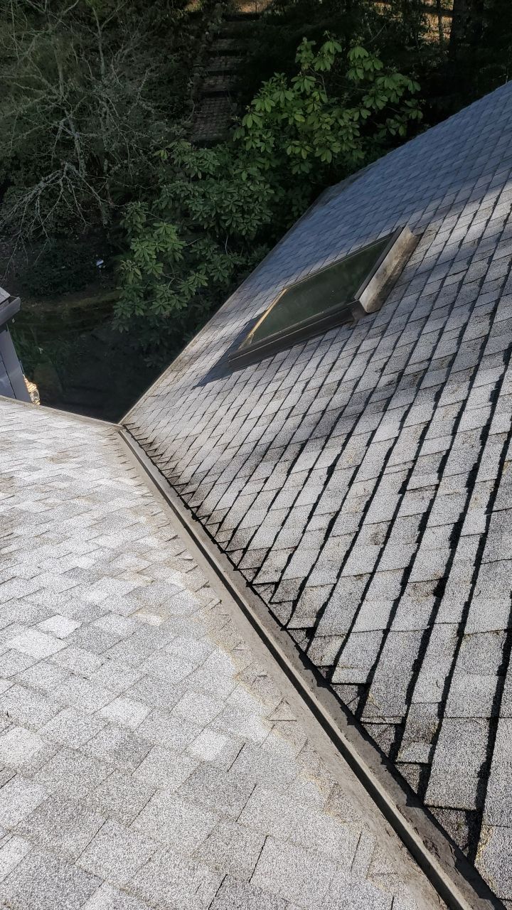 Roof Treatment using Surfactant and Biocide by Willamette Outdoor Wash LLC