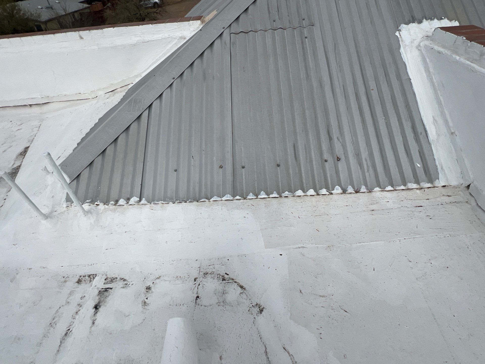 Metallic Silver Exposed Fastener by Reimagine Roofing