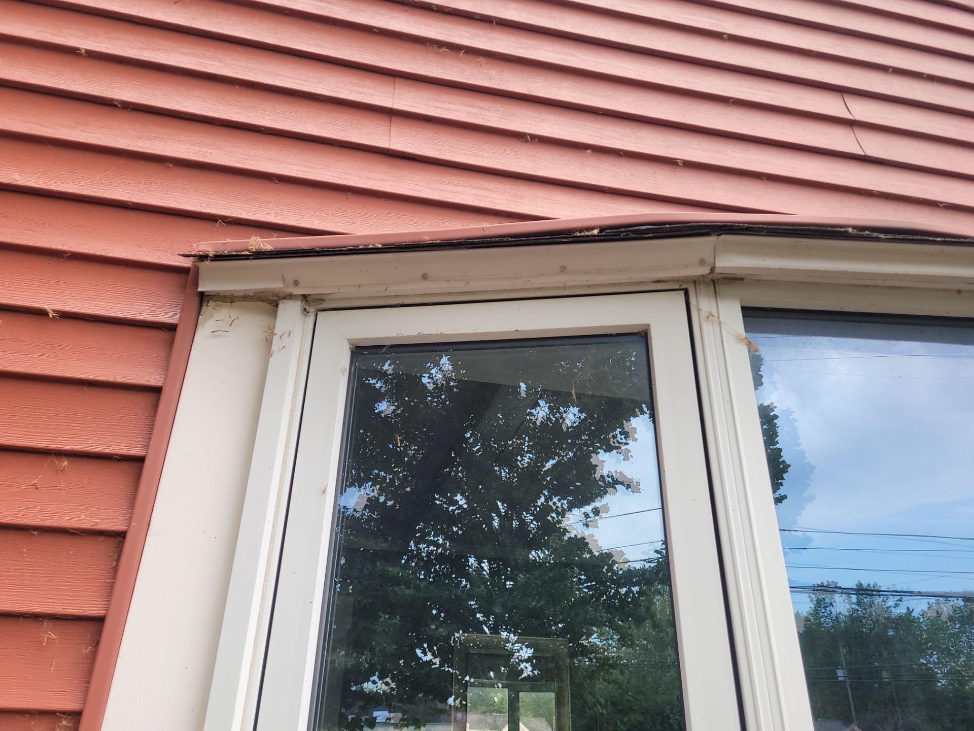 Dan Zeller by Silver Leaf Contracting 