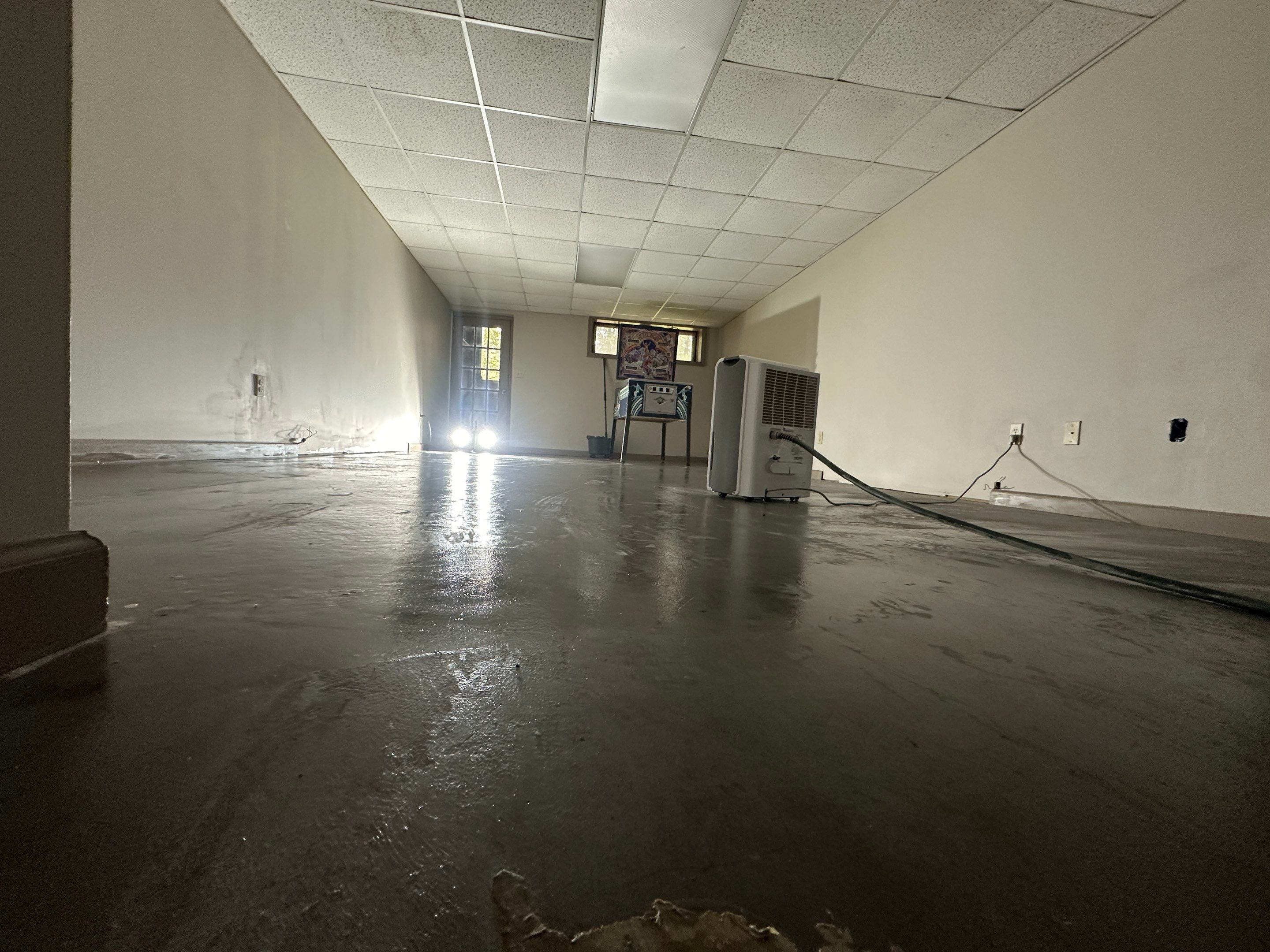 Basement Mold Remediation by Home Guarantee, LLC