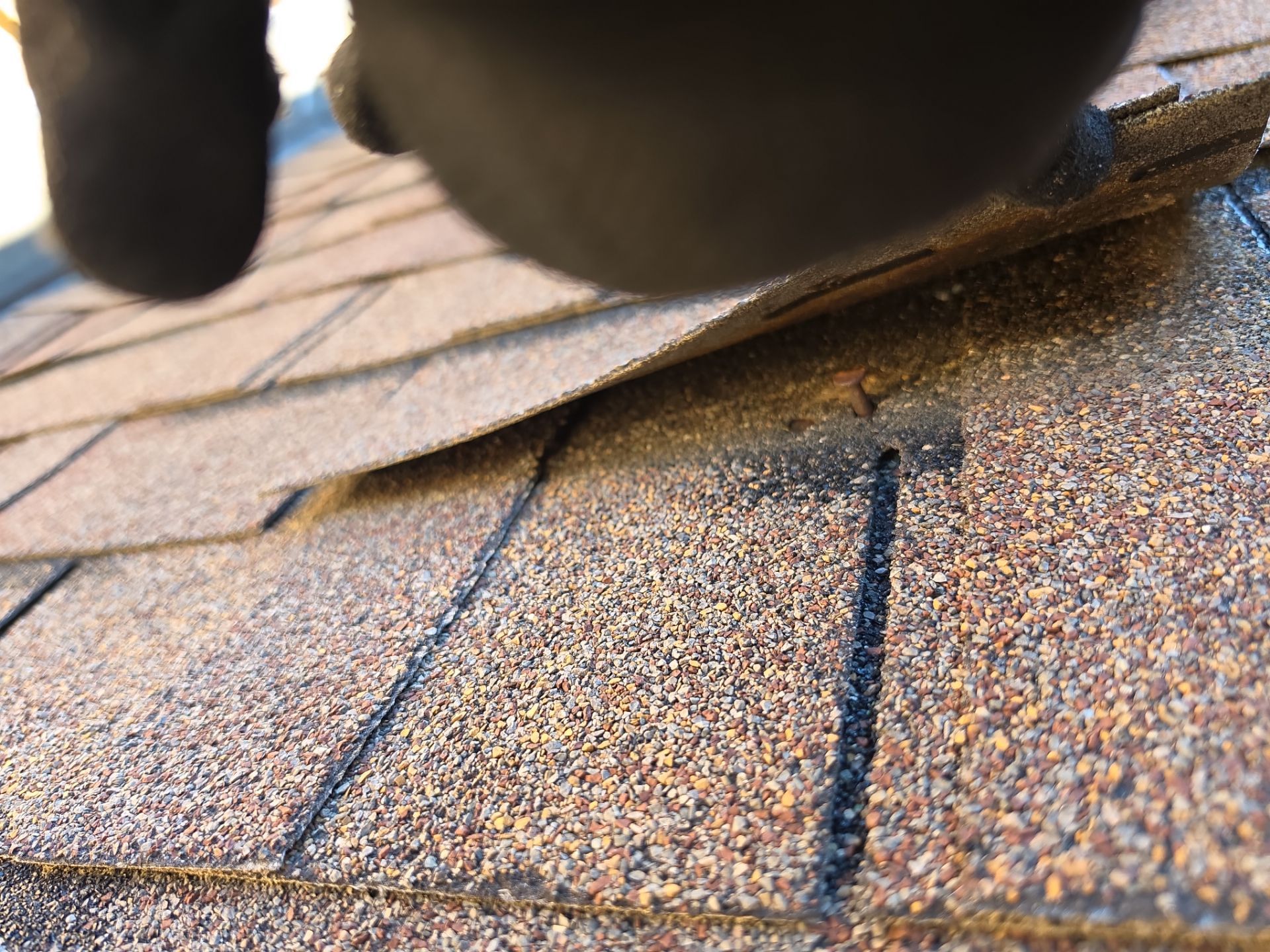 Roof Repair and Custom Skylight Sealing in Bloomfield Hills by EverNew Roofing