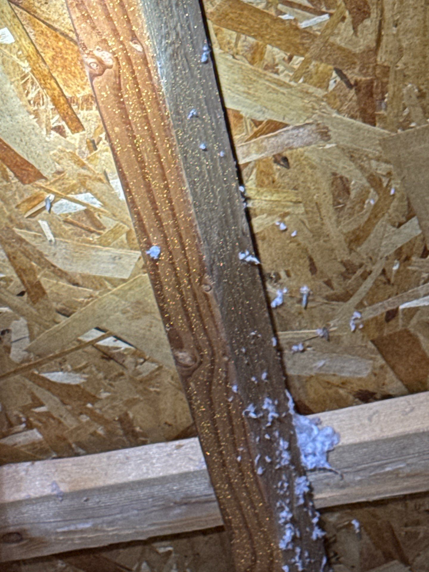 Residential Roof Replacement with Architectural Shingles in Boise by Olive Roofing