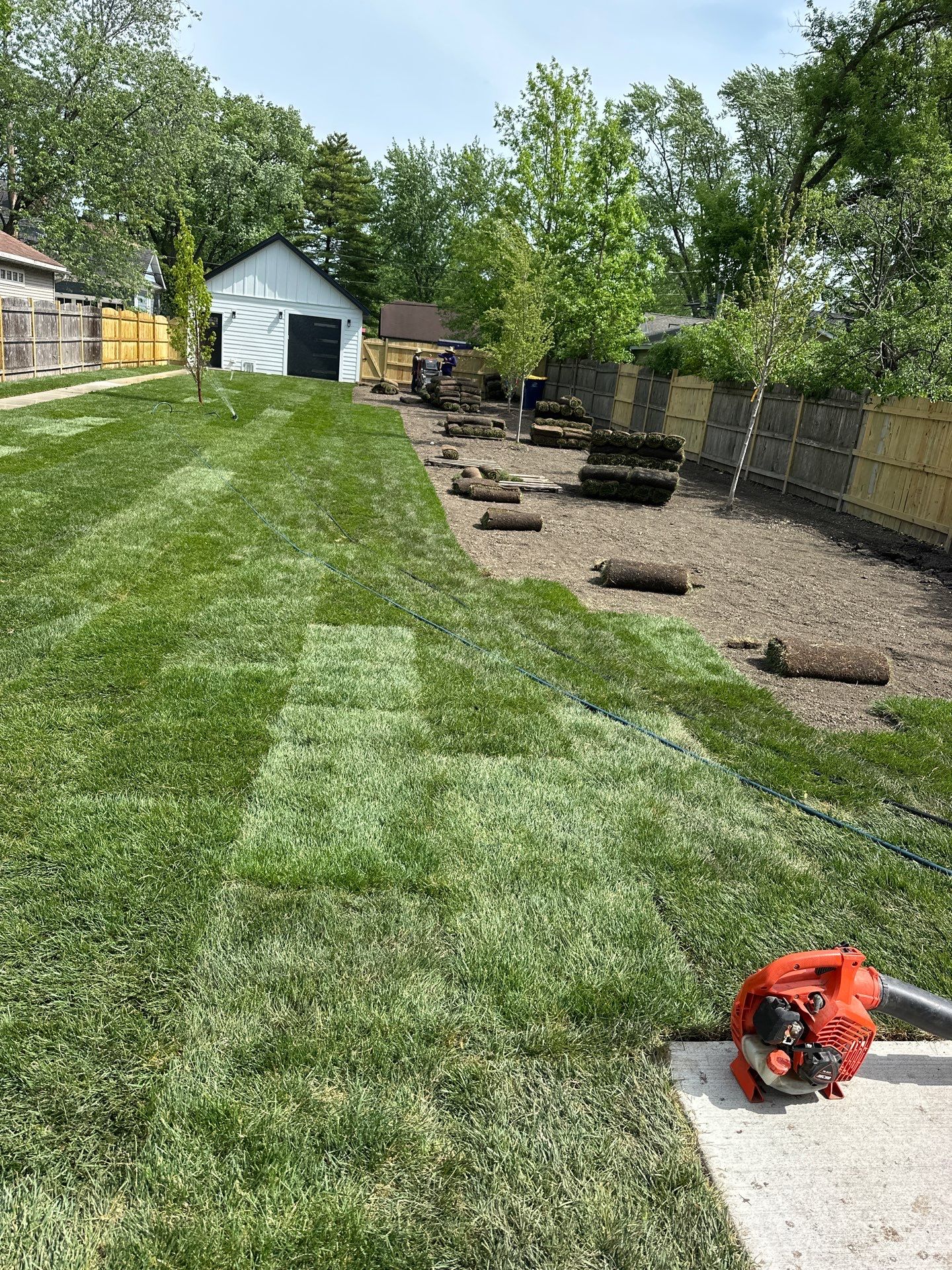 Tom D. - Wilmette, IL by A&N