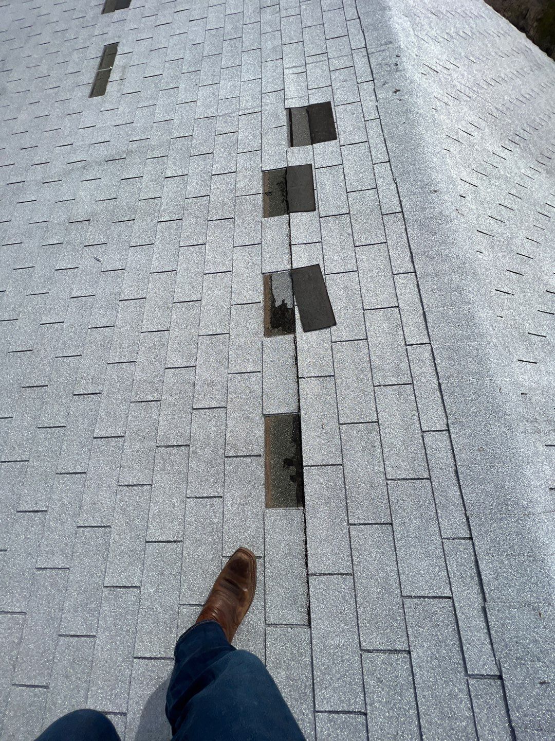 Lucy's  Full Re-roof by All Storm Roofing & Construction